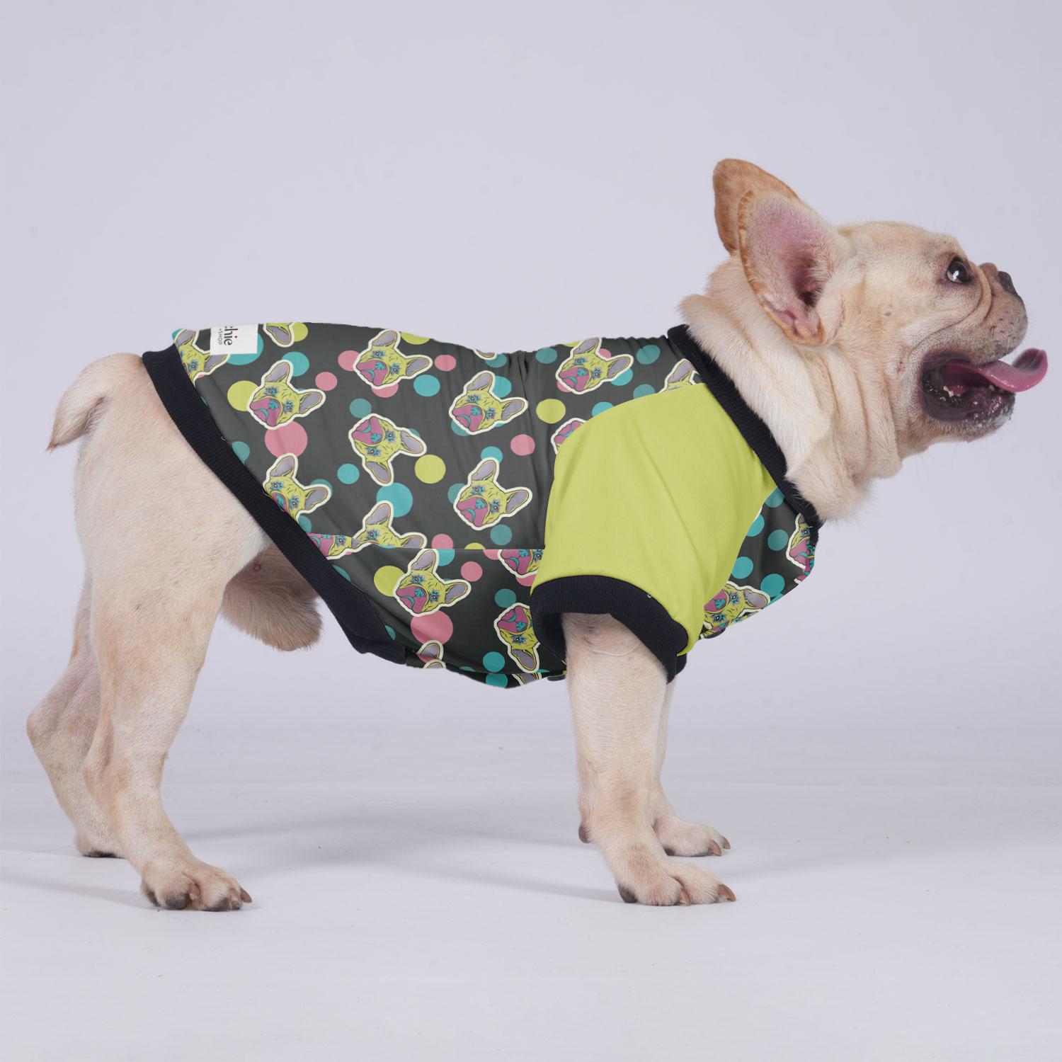 Larry French Bulldog Winter Jacket for Short-Nosed Dogs-fadou