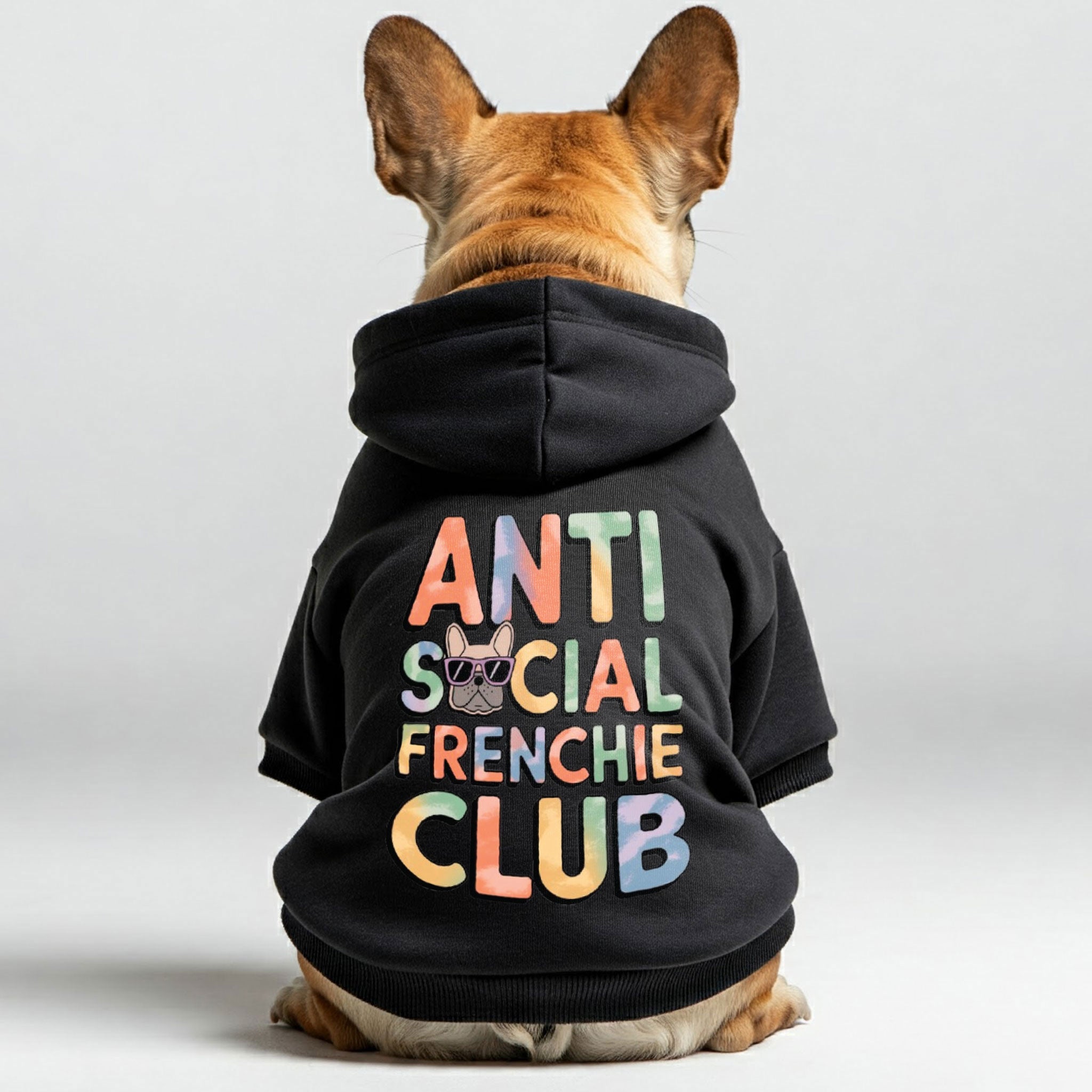 Personalized Cozy Pet Parent Pullover for Frenchie Enthusiasts-fadou