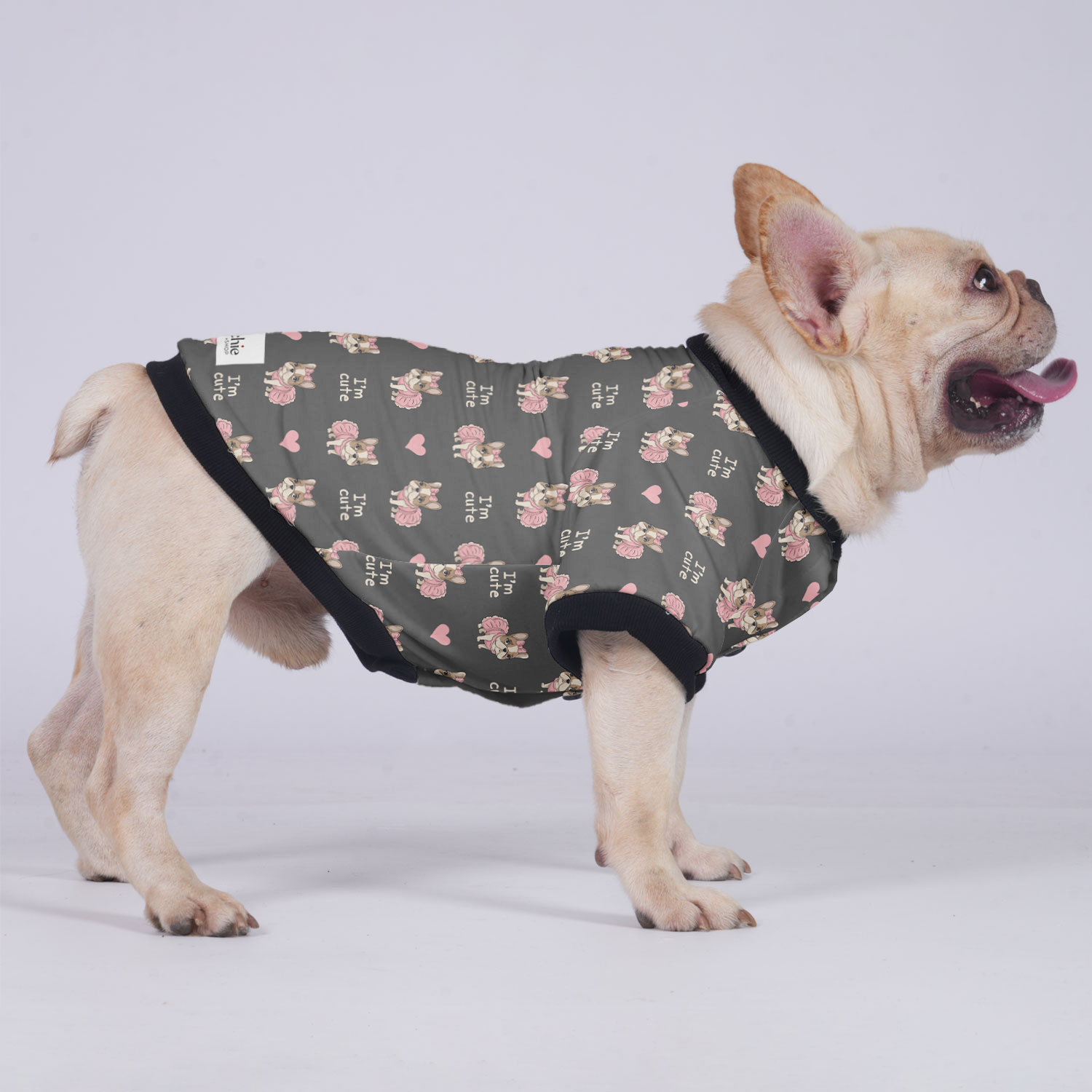 James French Bulldog Winter Jacket for Outdoor Adventures-fadou