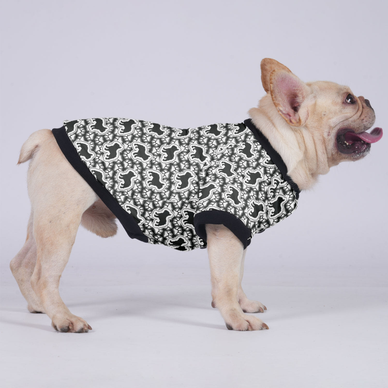 Ace French Bulldog Warm Outerwear for Training Sessions-fadou