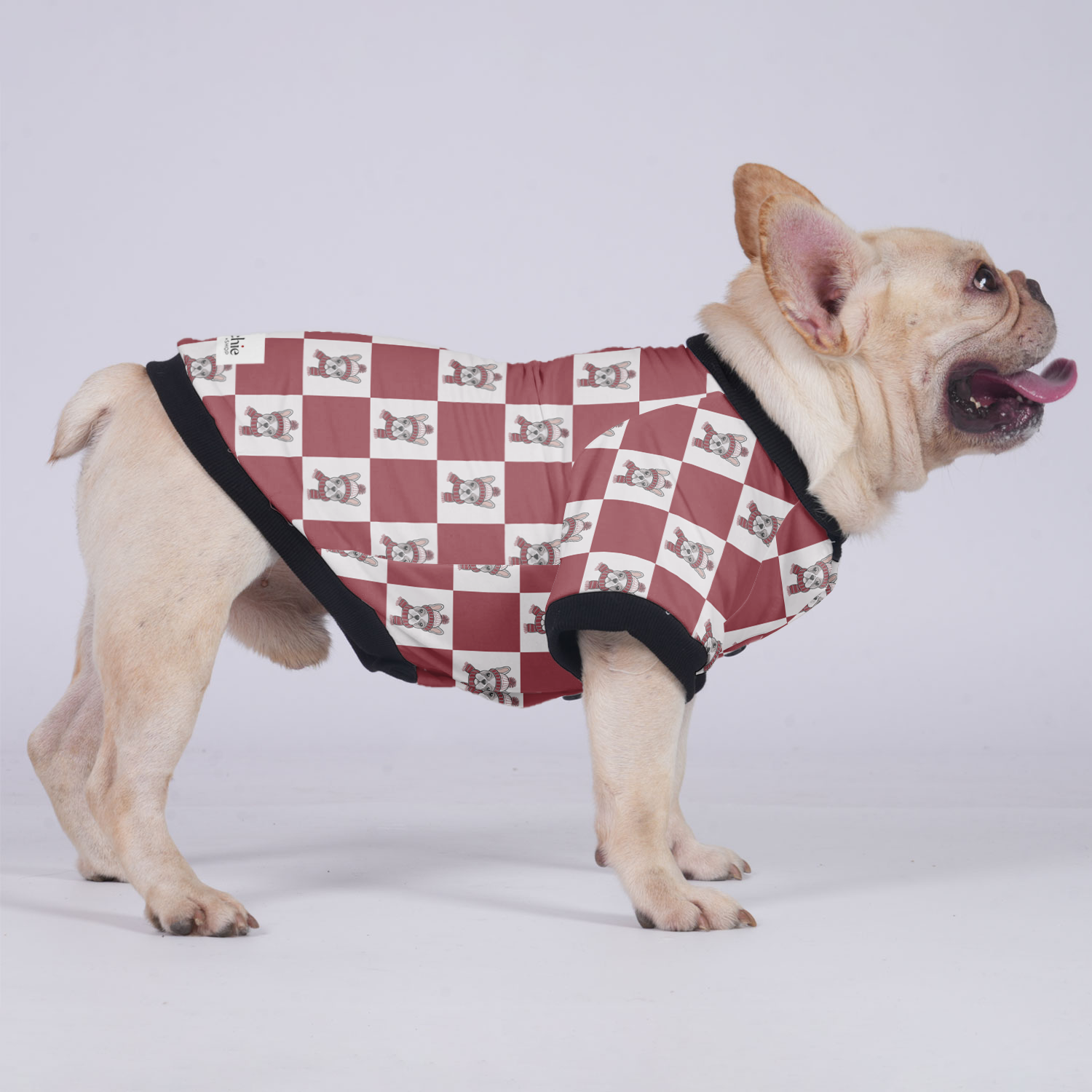 Winston French Bulldog Winter Jacket for Training Sessions-fadou