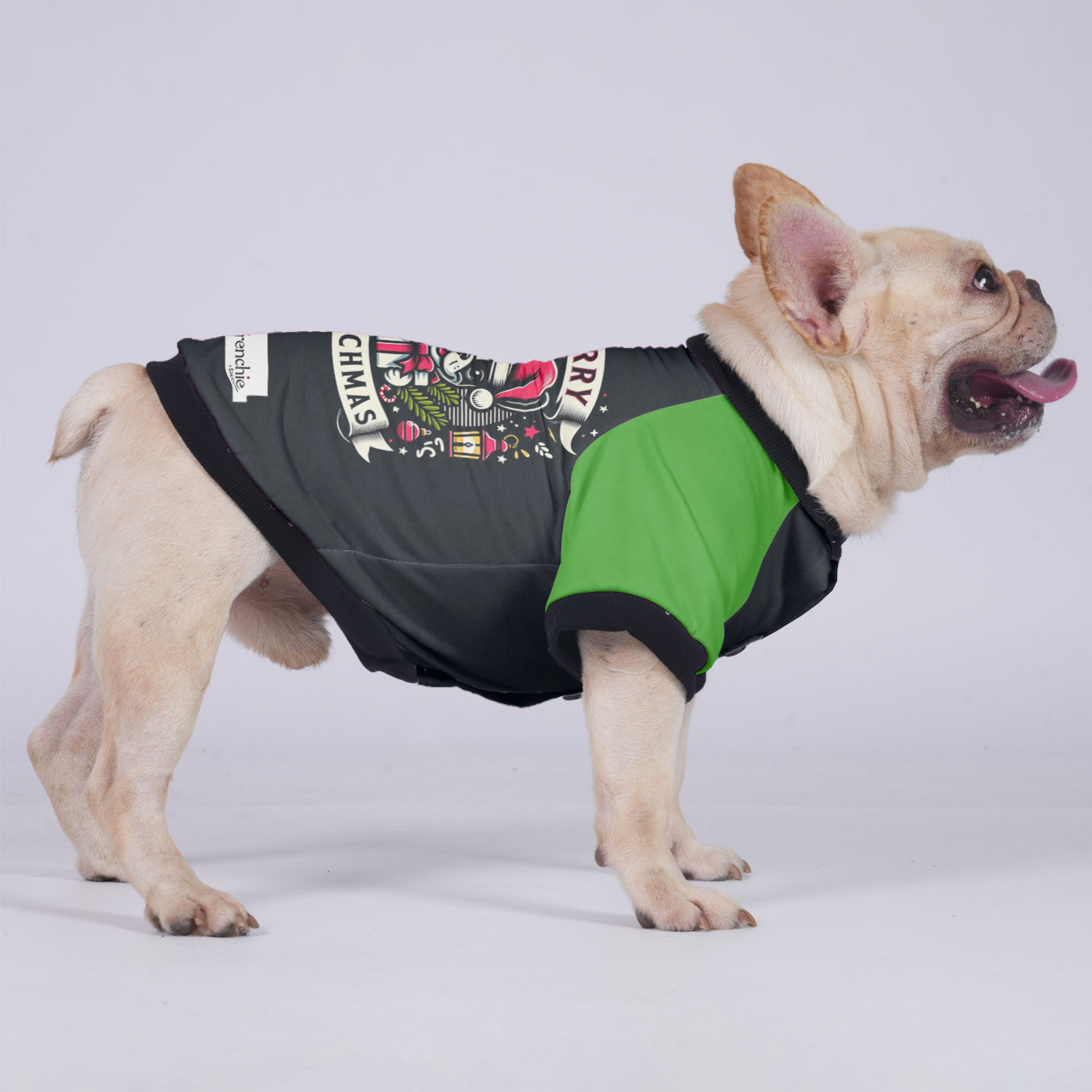 Bailey French Bulldog Winter Jacket for Training Sessions-fadou