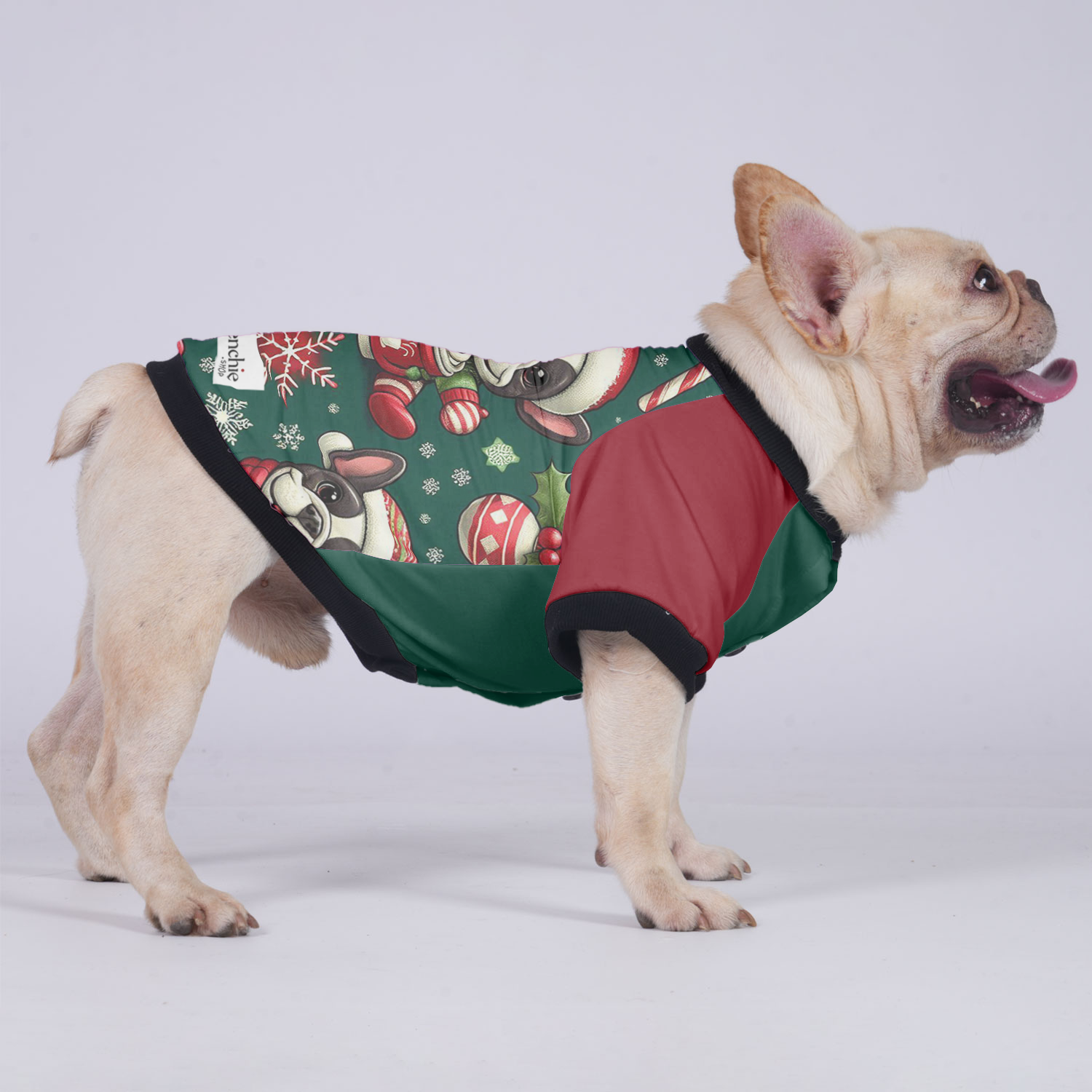 Cooper French Bulldog Warm Outerwear for Training Sessions-fadou