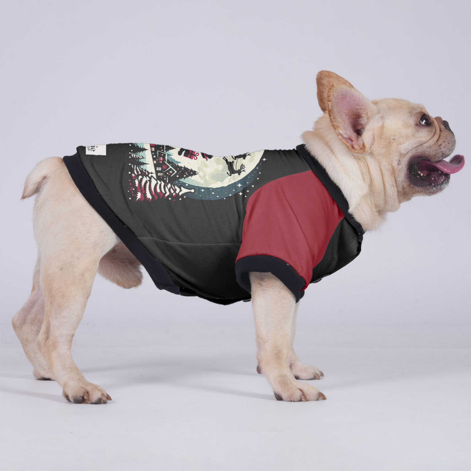 Molly French Bulldog Pet Jacket for Brachycephalic Dogs-fadou