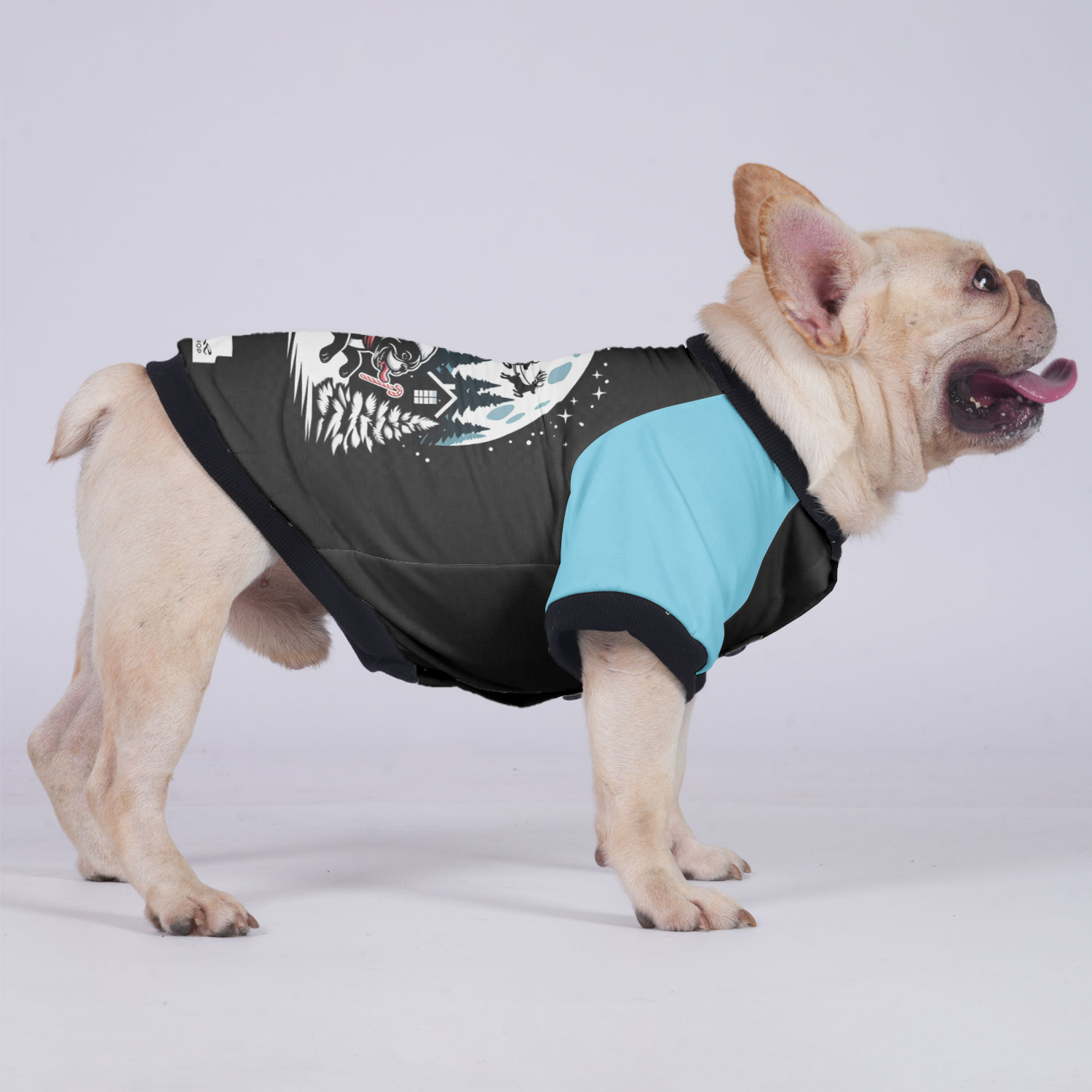 Abby French Bulldog Warm Outerwear for Flat-Face Breeds-fadou