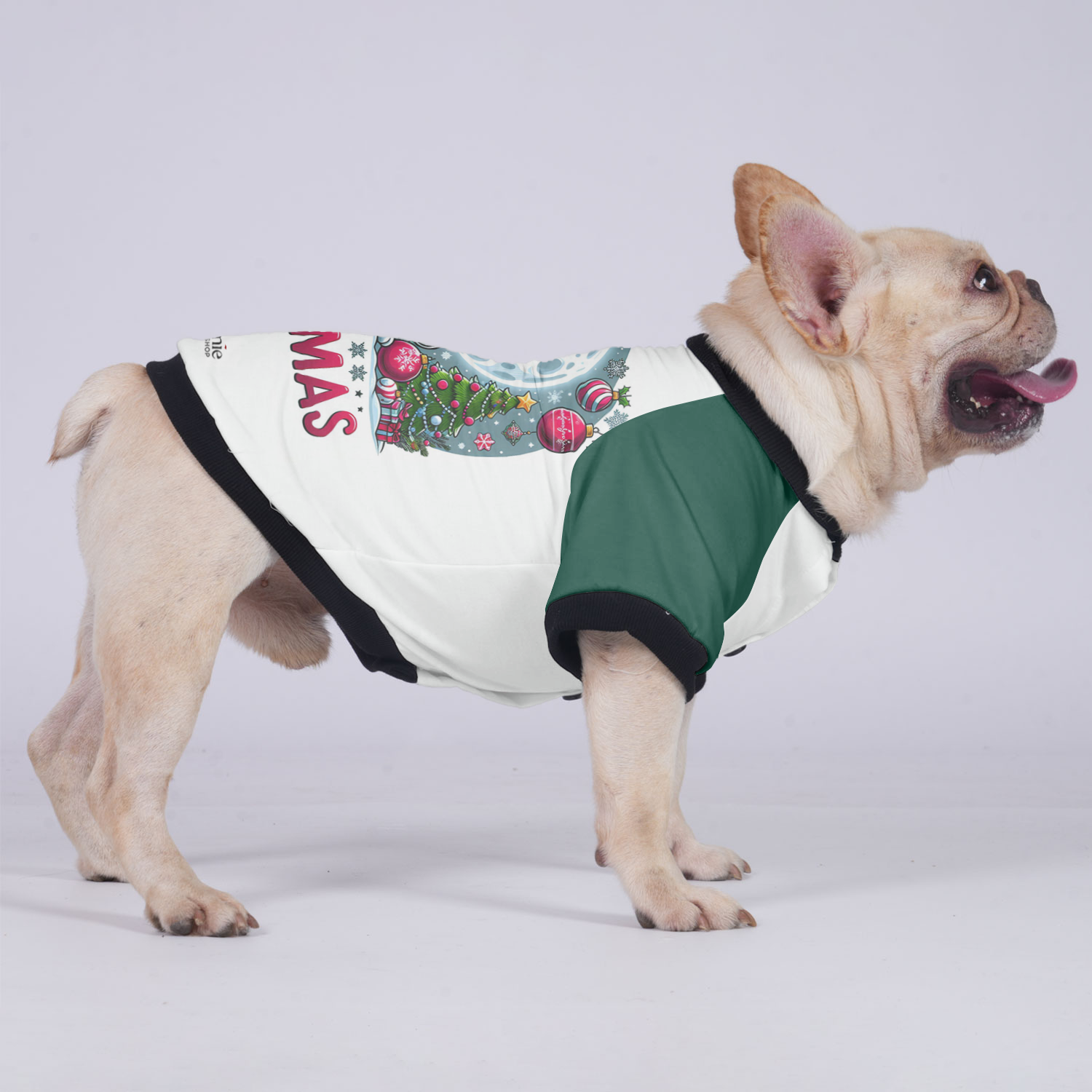 Sadie French Bulldog Warm Outerwear for Outdoor Adventures-fadou