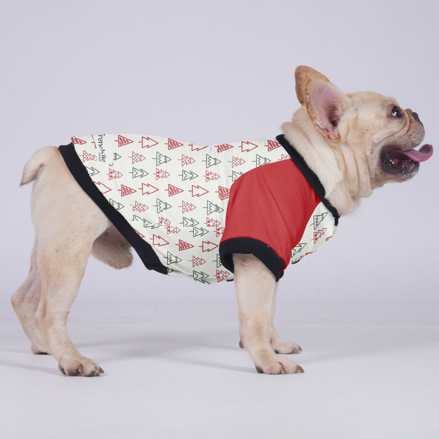 Rocky French Bulldog Pet Jacket for Brachycephalic Dogs-fadou