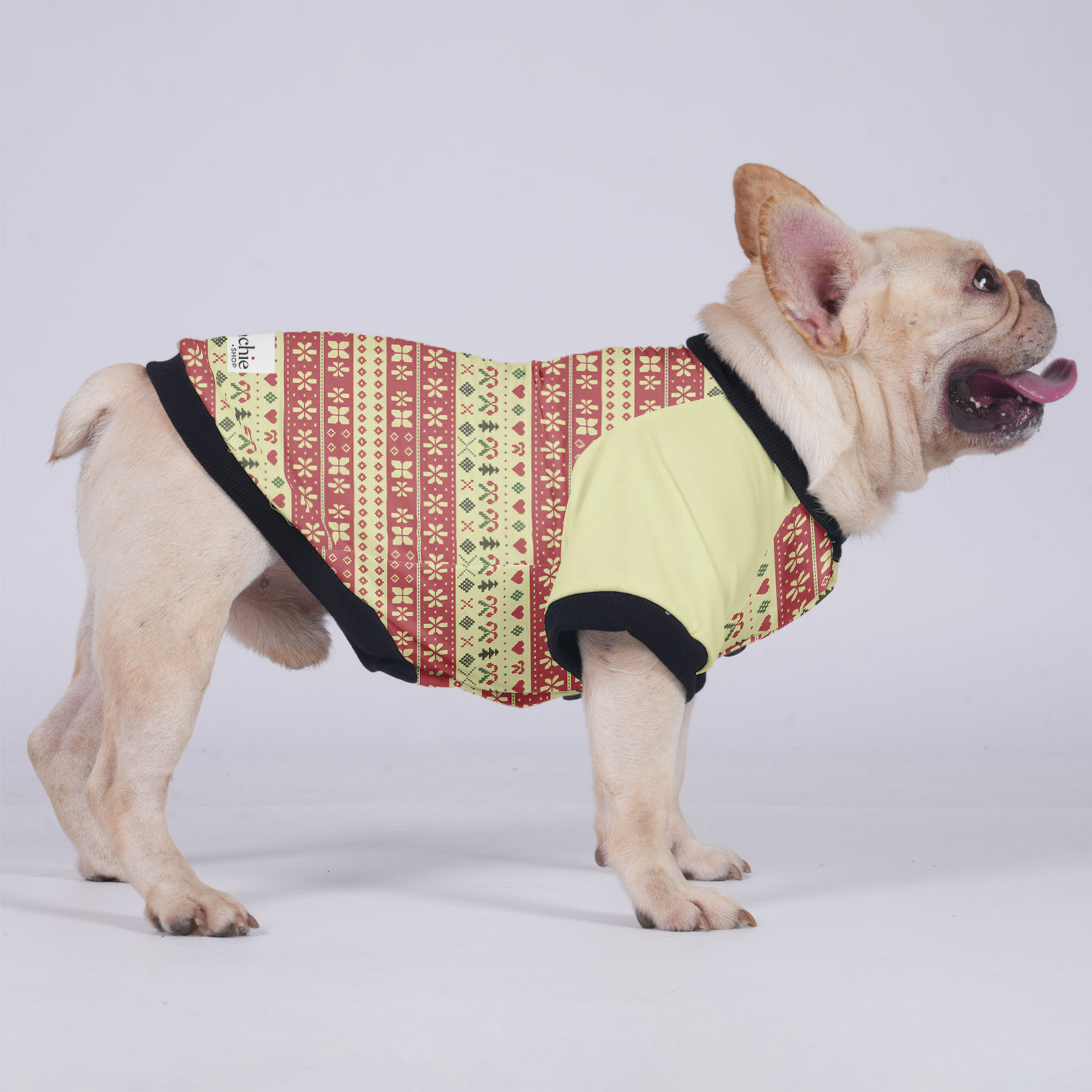 Remi French Bulldog Warm Outerwear for Outdoor Adventures-fadou
