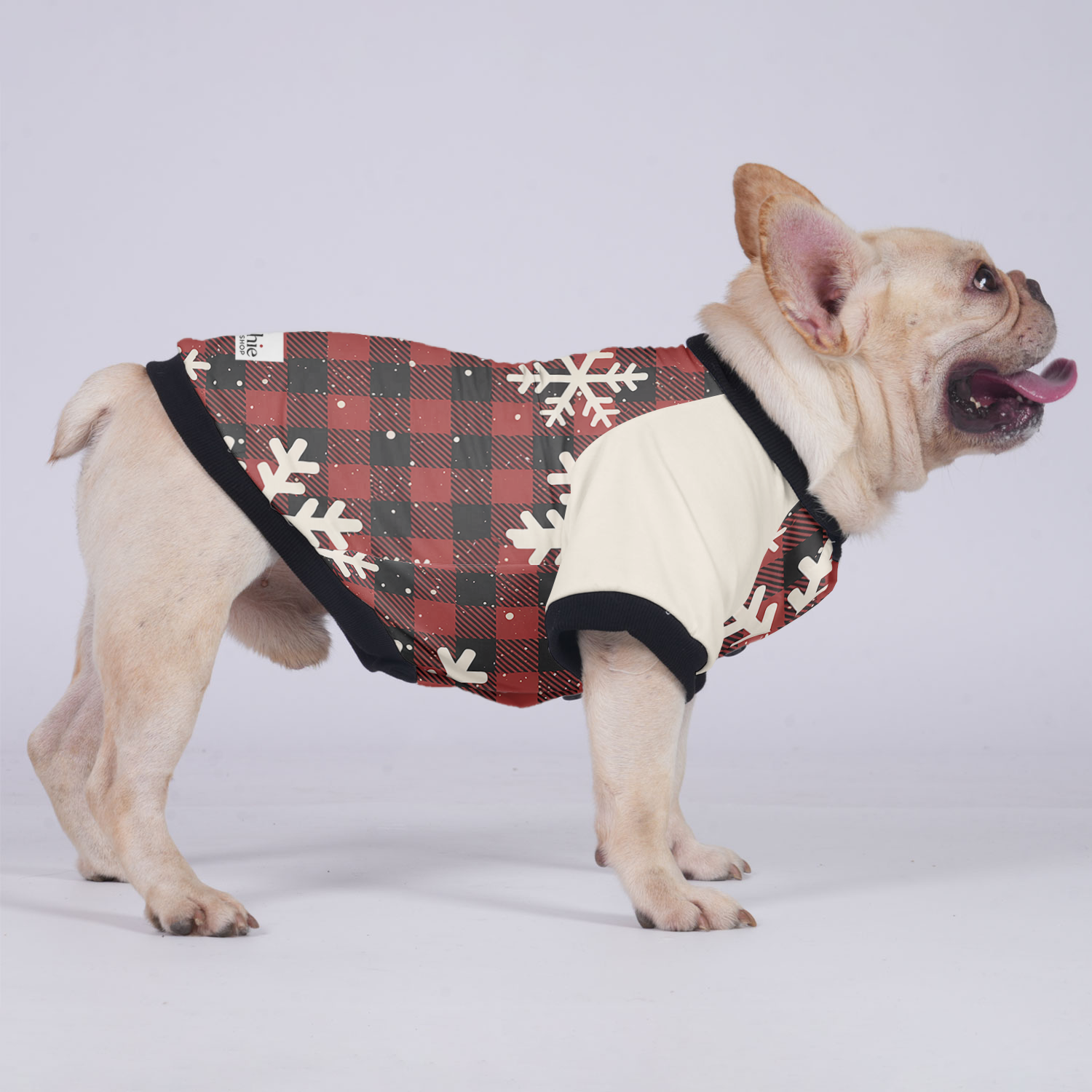 Chloe French Bulldog Pet Jacket for Brachycephalic Dogs-fadou