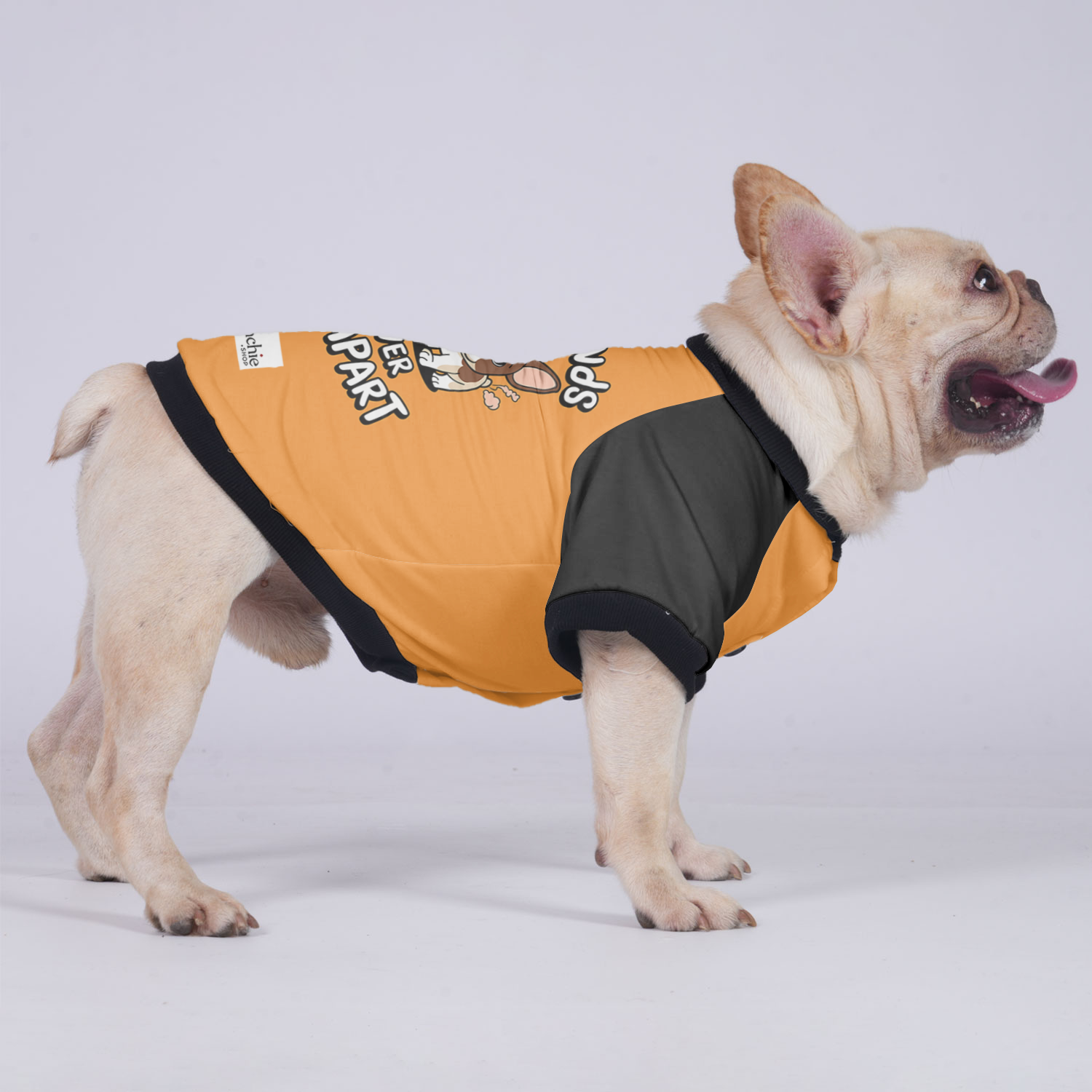 Zoey French Bulldog Warm Outerwear for Short-Nosed Dogs-fadou