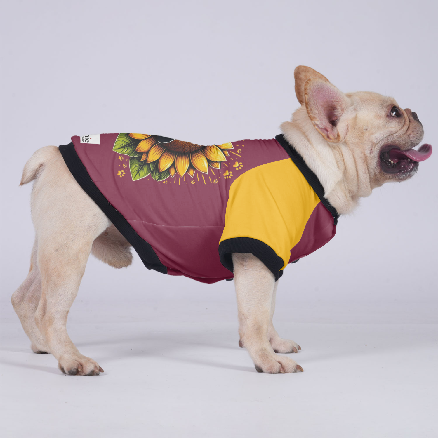 Toby French Bulldog Warm Outerwear for Training Sessions-fadou