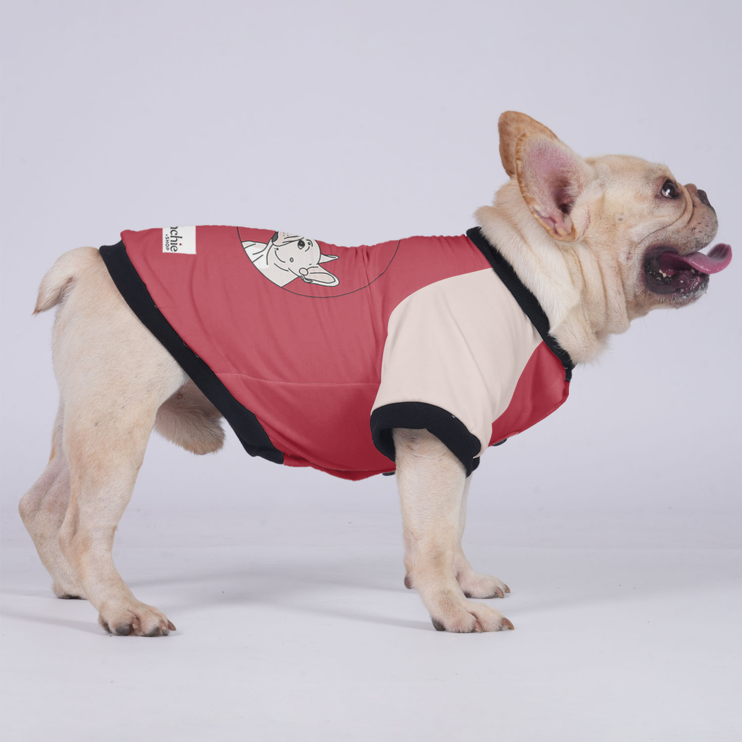 Sophie French Bulldog Pet Jacket for Brachycephalic Dogs-fadou