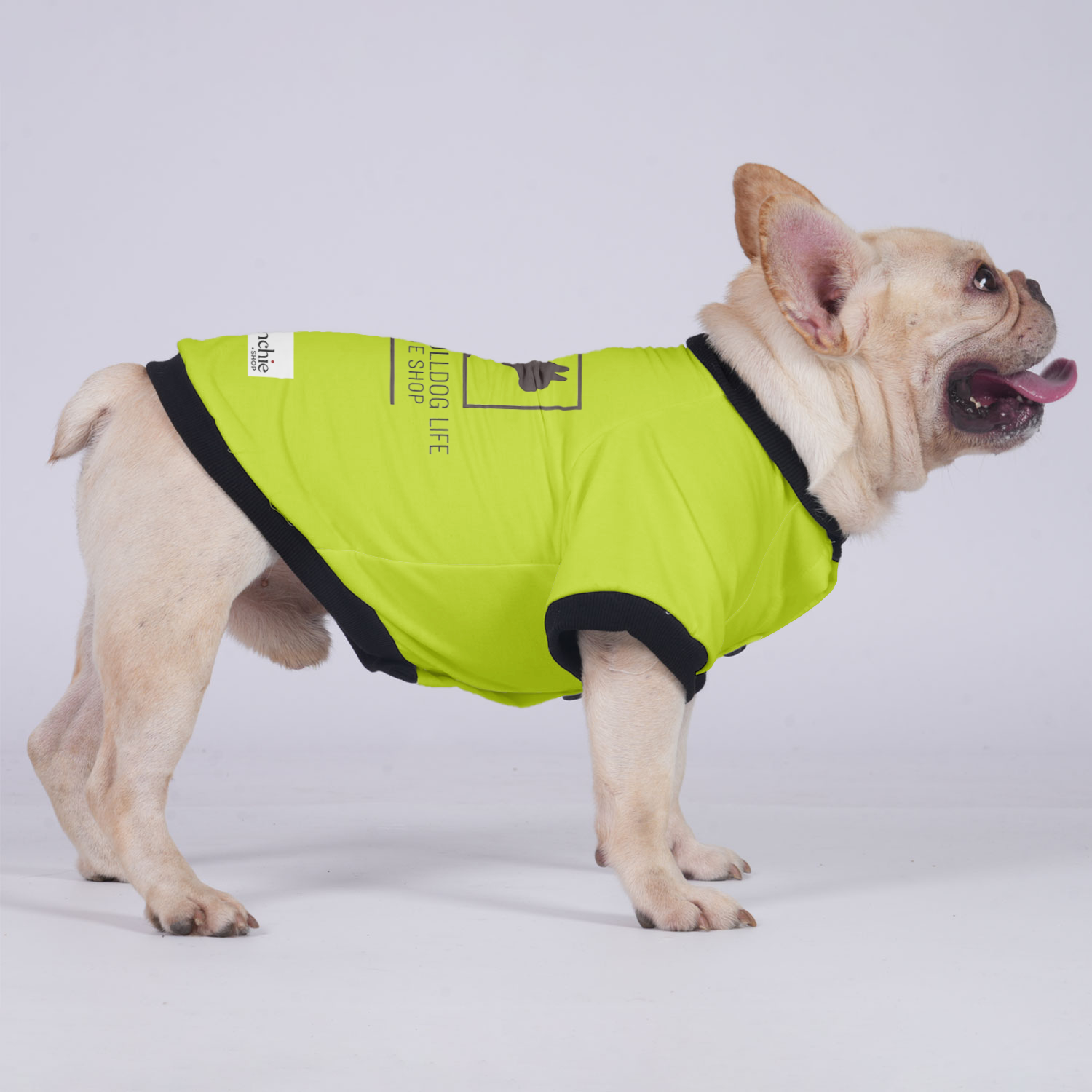 Max French Bulldog Warm Outerwear for Outdoor Adventures-fadou