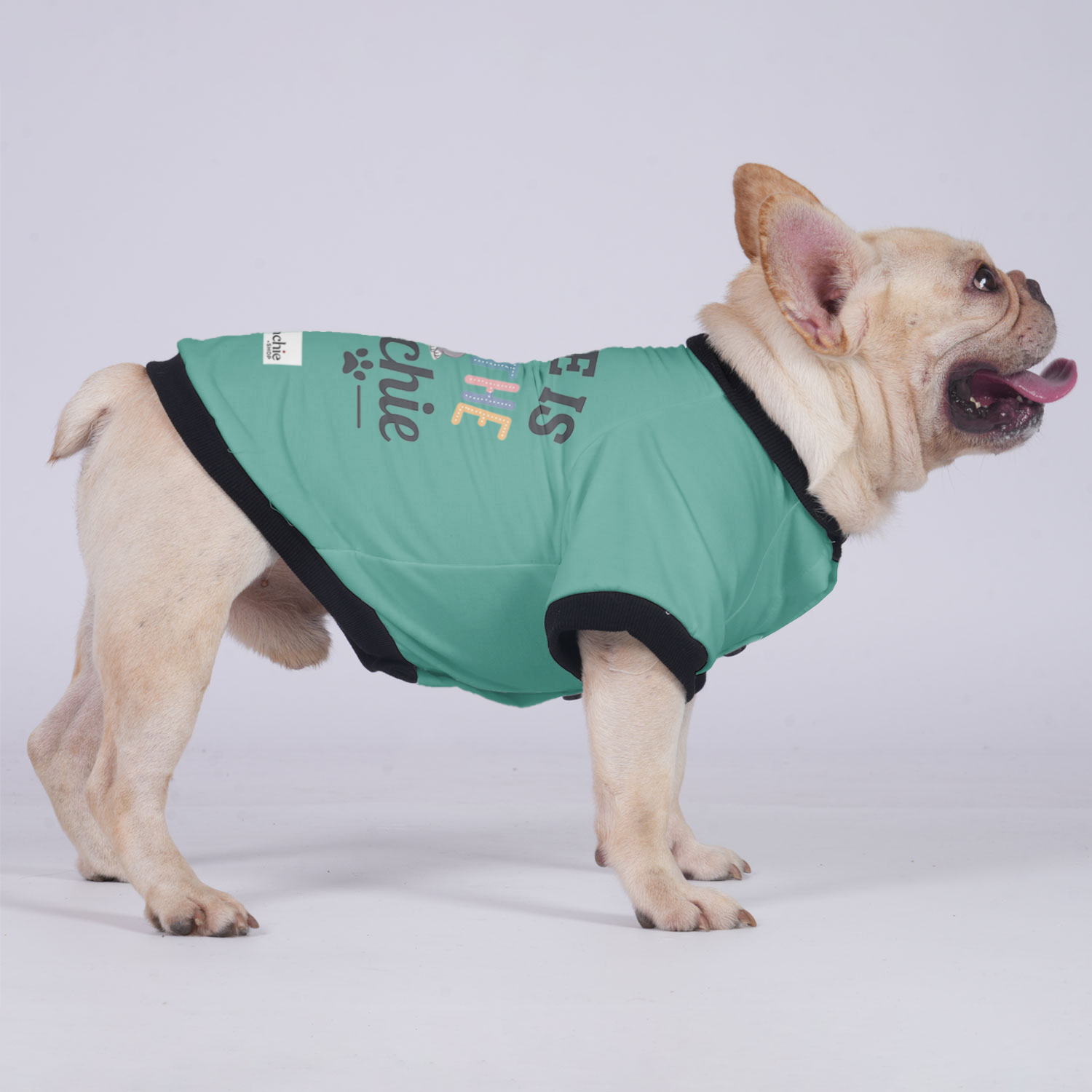 Charlie French Bulldog Warm Outerwear for Outdoor Adventures-fadou