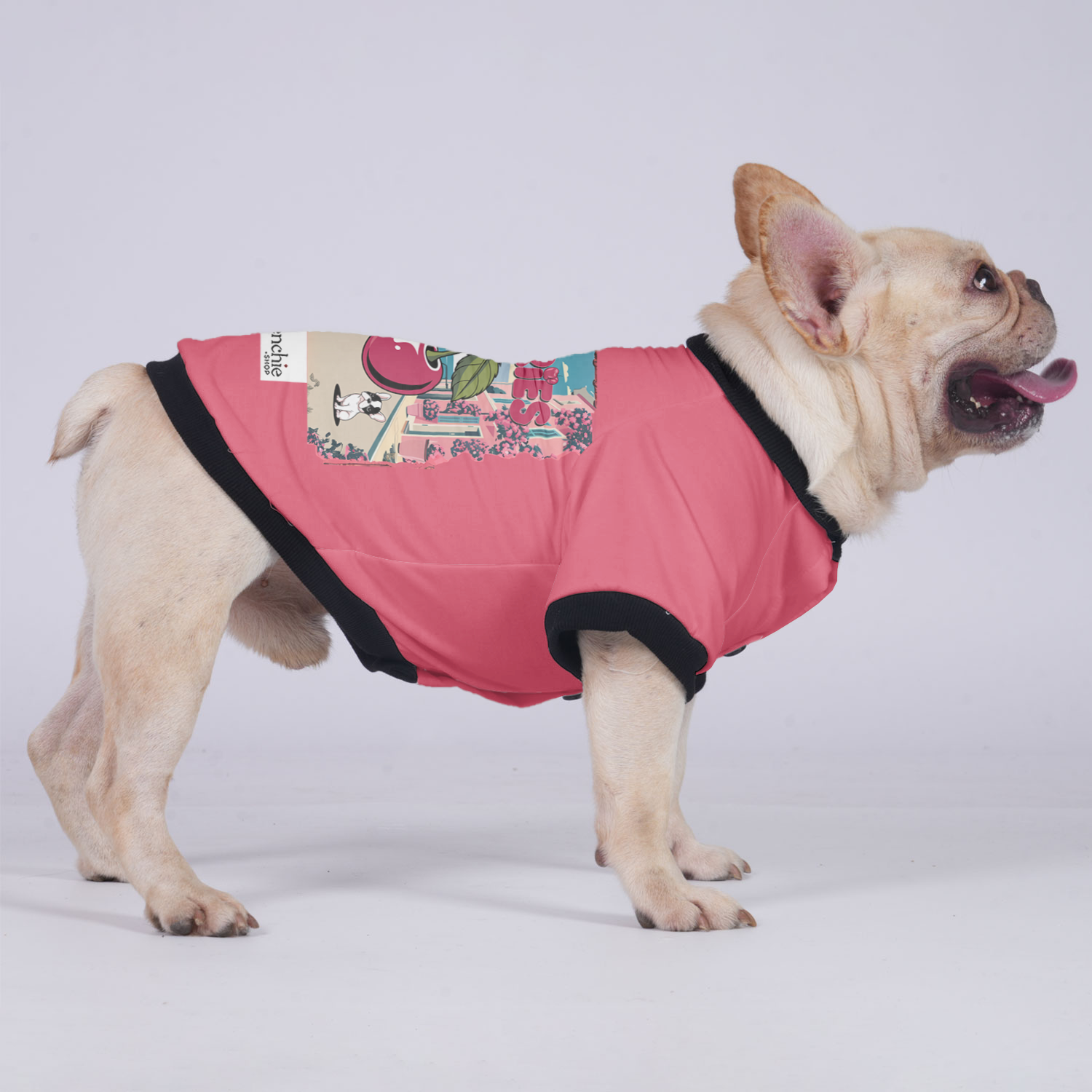 Lady French Bulldog Warm Outerwear for Flat-Face Breeds-fadou