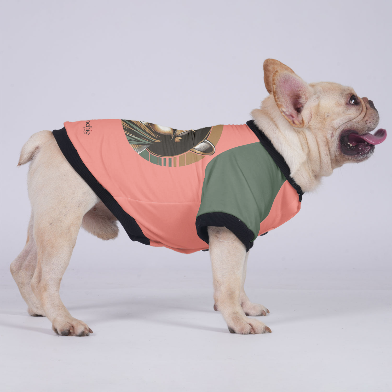 Lucy French Bulldog Winter Jacket for Training Sessions-fadou