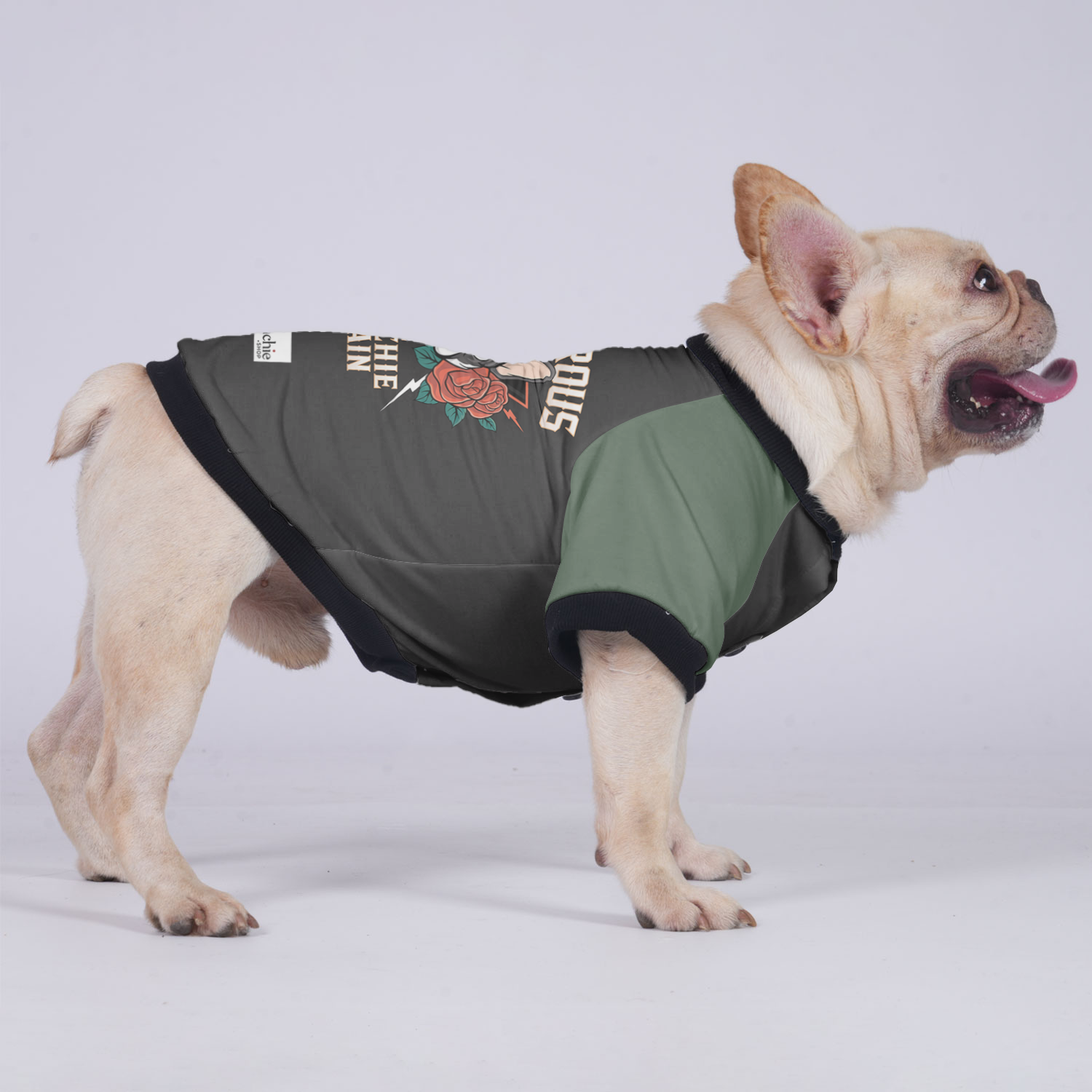 Melo French Bulldog Warm Outerwear for Training Sessions-fadou
