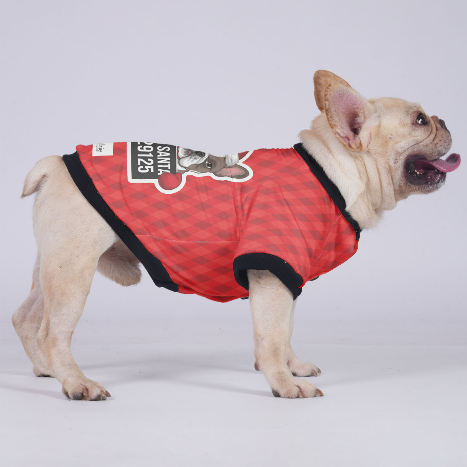 Bad French Bulldog Warm Outerwear for Brachycephalic Dogs-fadou