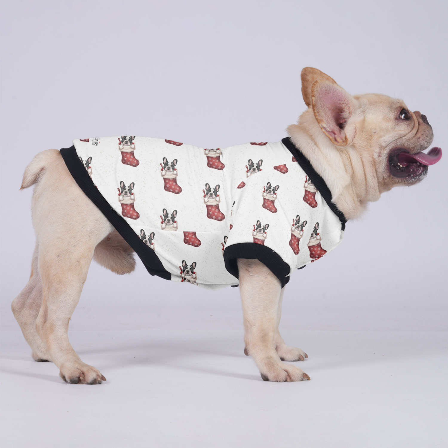 Thor - Jacket for French Bulldog for Brachycephalic Dogs-fadou