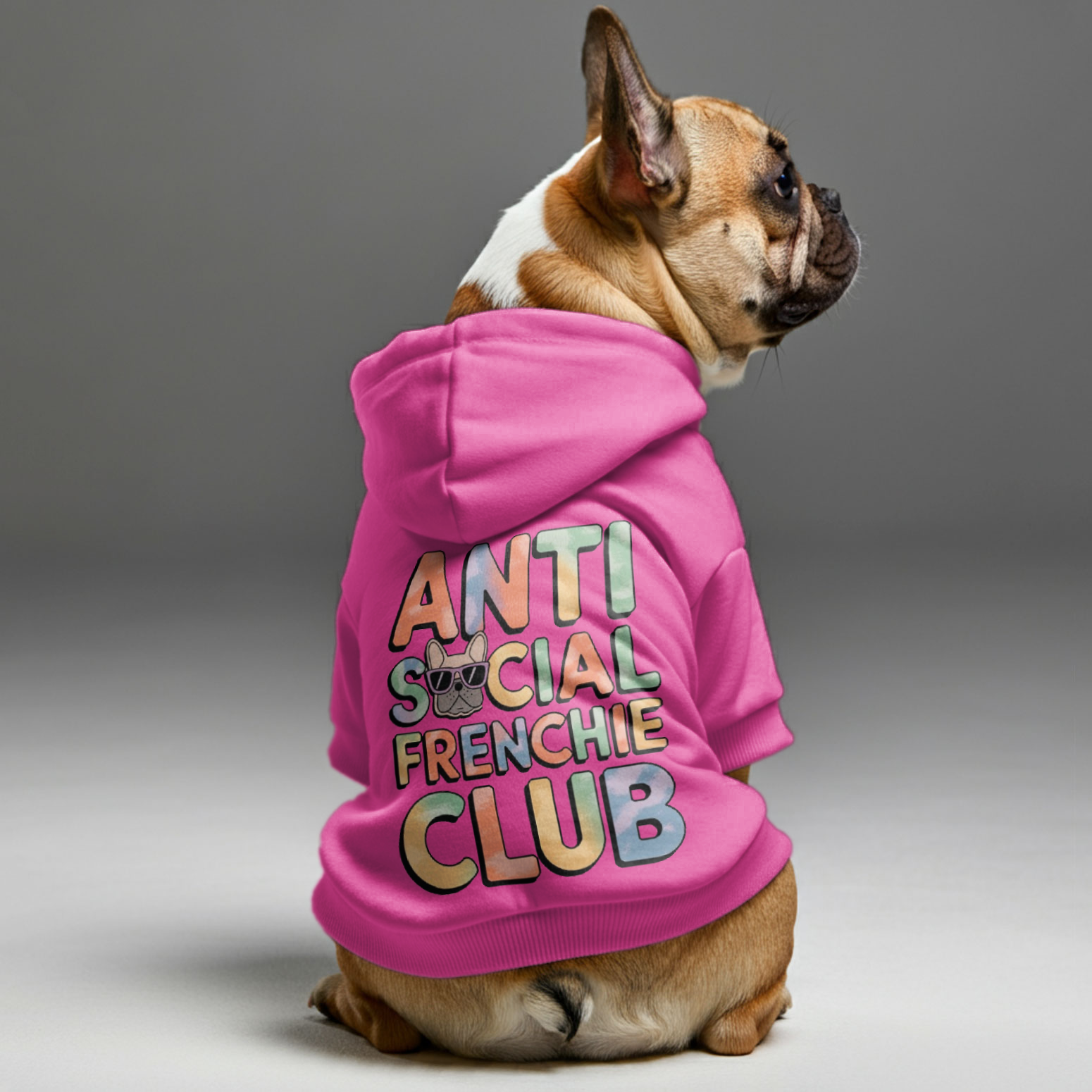 Personalized Cozy Pet Parent Pullover for Frenchie Enthusiasts-fadou