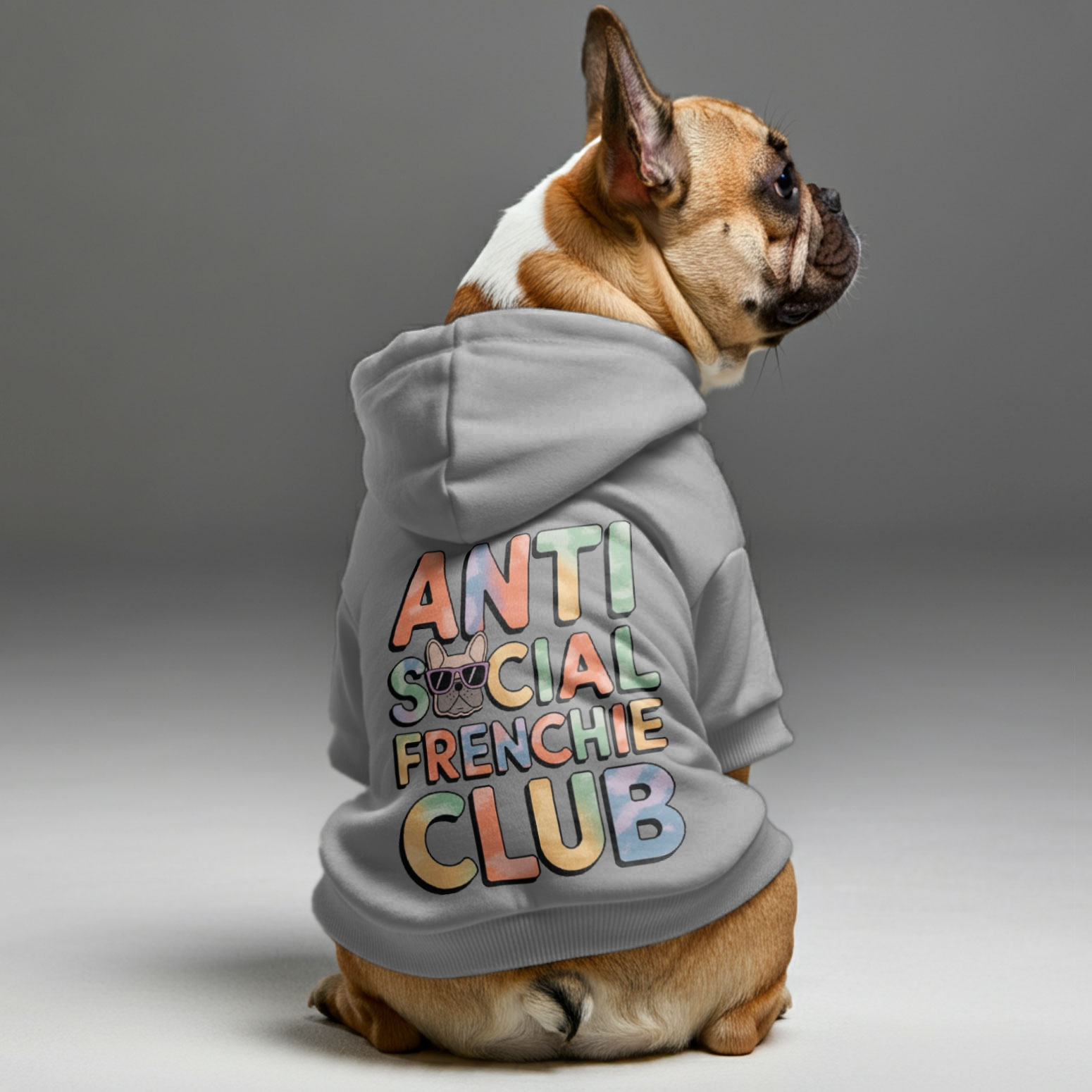 Personalized Cozy Pet Parent Pullover for Frenchie Enthusiasts-fadou