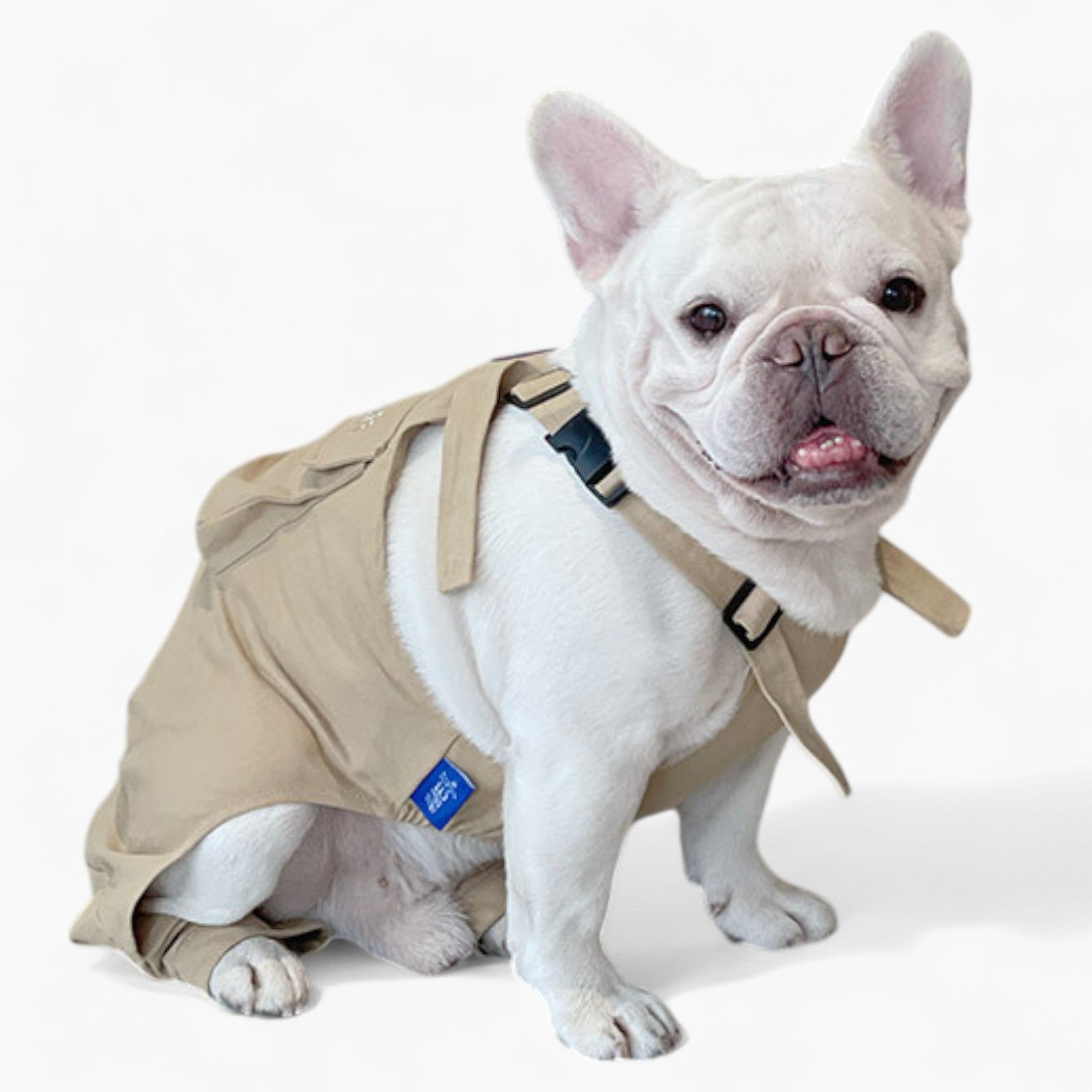 BarkBuilt French Bulldog Accessory for Frenchie Enthusiasts-fadou