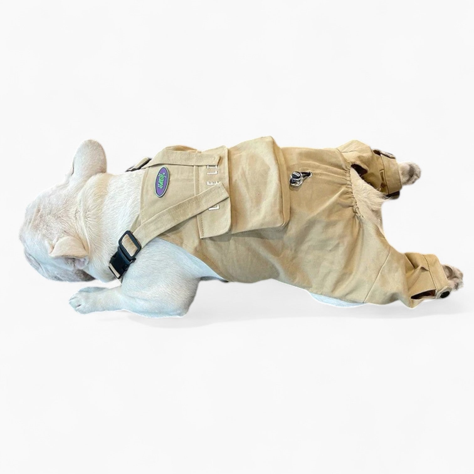 BarkBuilt French Bulldog Accessory for Frenchie Enthusiasts-fadou