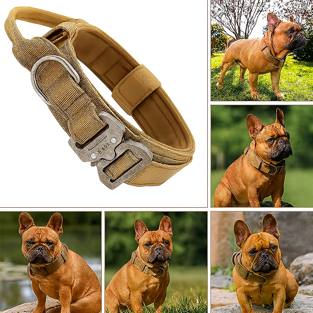 French Bulldog Adjustable ID Collar for Short-Nosed Dogs-fadou