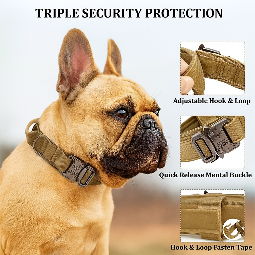 French Bulldog Adjustable ID Collar for Short-Nosed Dogs-fadou