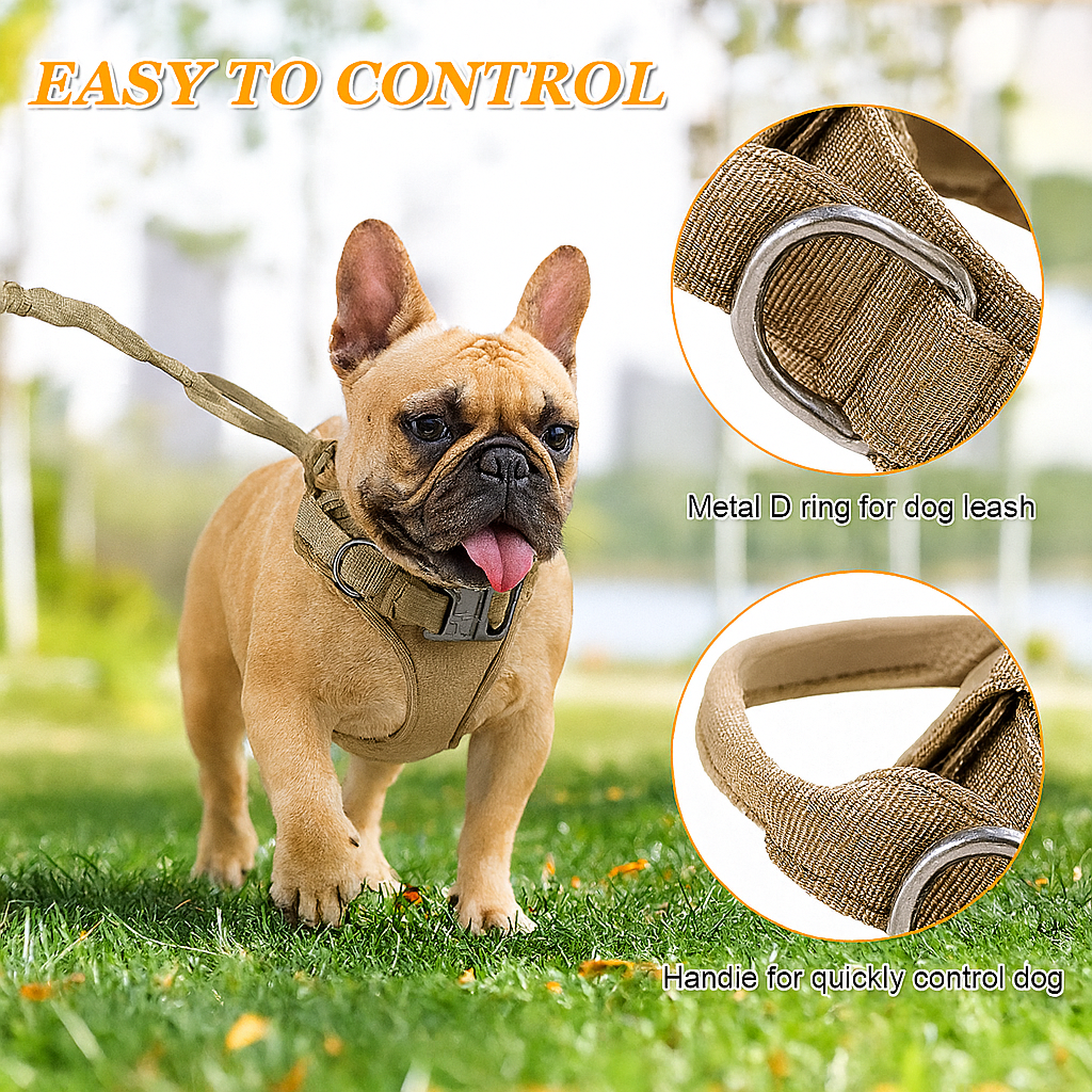French Bulldog Adjustable ID Collar for Short-Nosed Dogs-fadou