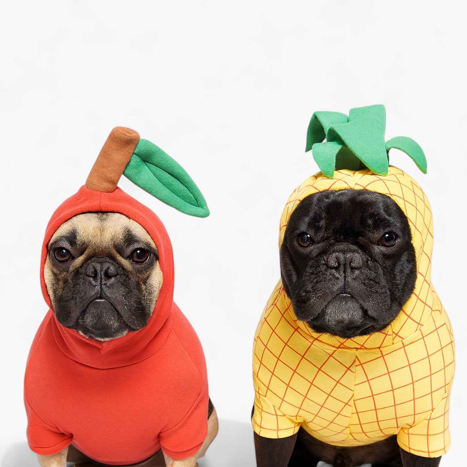 French Bulldog Cute Dog Costume for Brachycephalic Dogs-fadou
