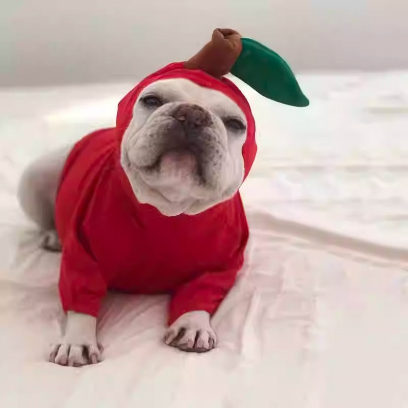French Bulldog Cute Dog Costume for Brachycephalic Dogs-fadou