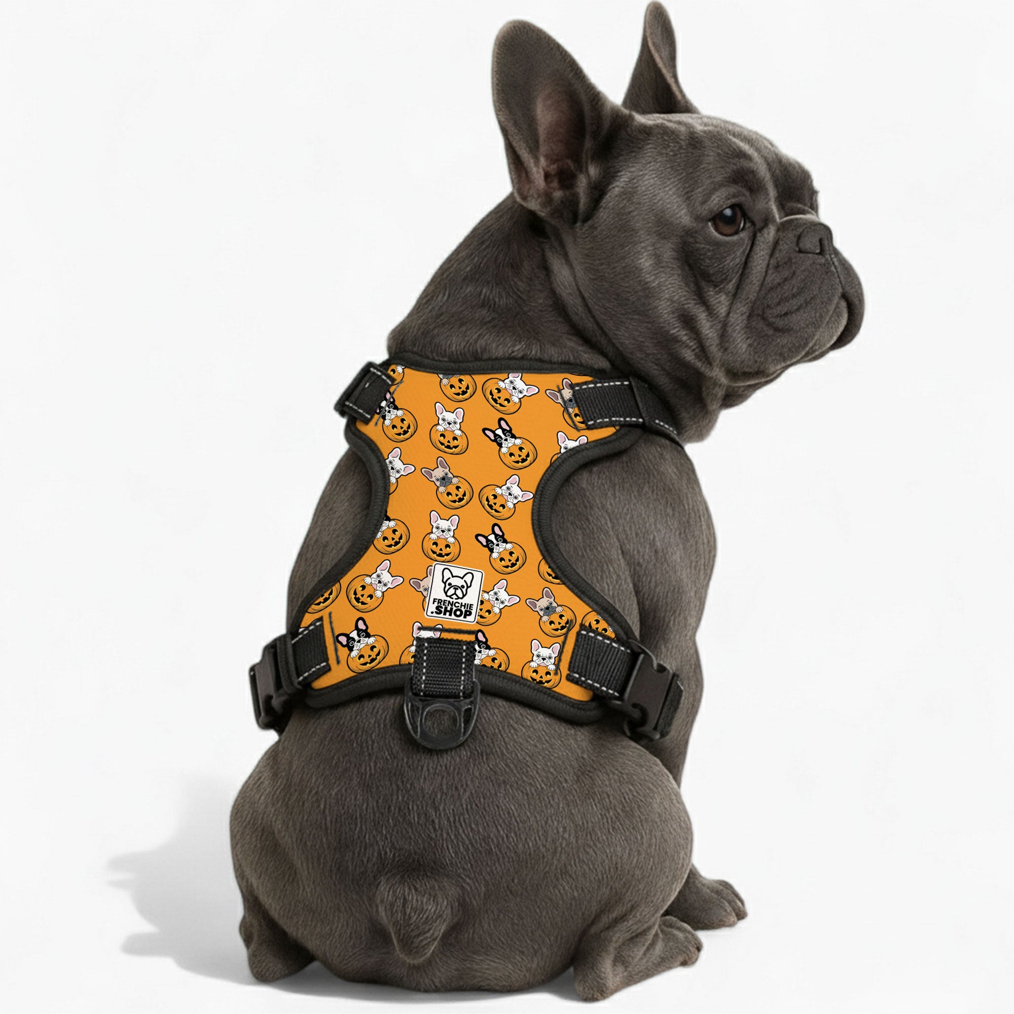 French Bulldog No-Pull Walking Harness for Playtime Fun-fadou