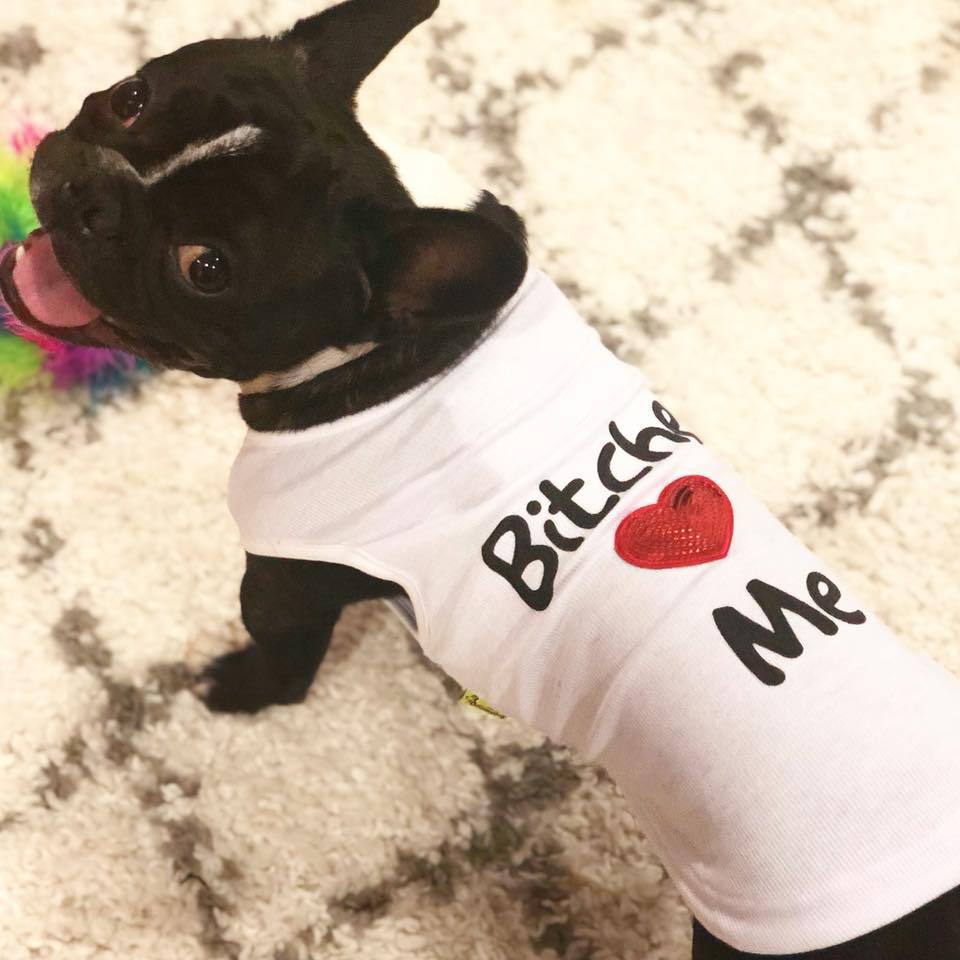French Bulldog Summer Cotton T-Shirt for Bulldog Owners-fadou