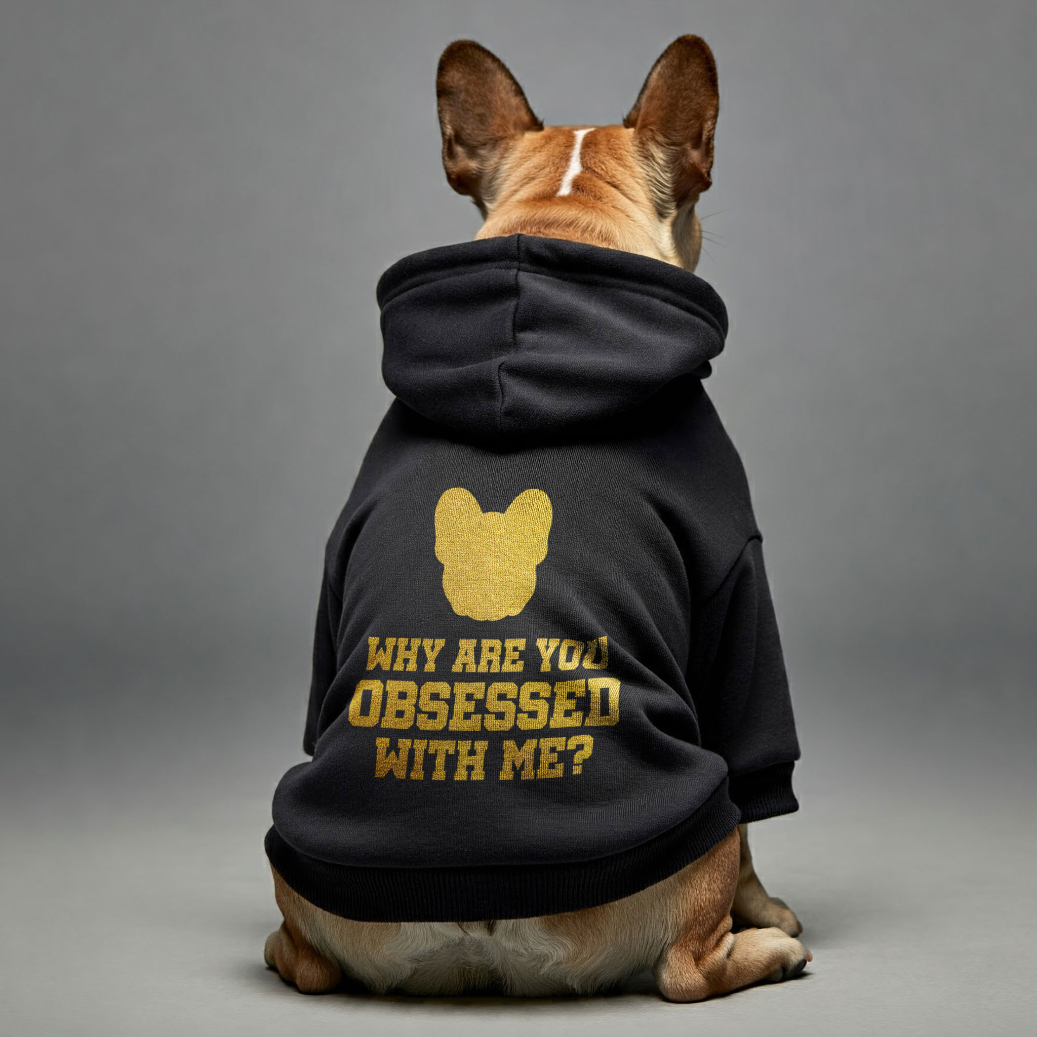 Why French Bulldog Fleece Hoodie for Brachycephalic Dogs-fadou
