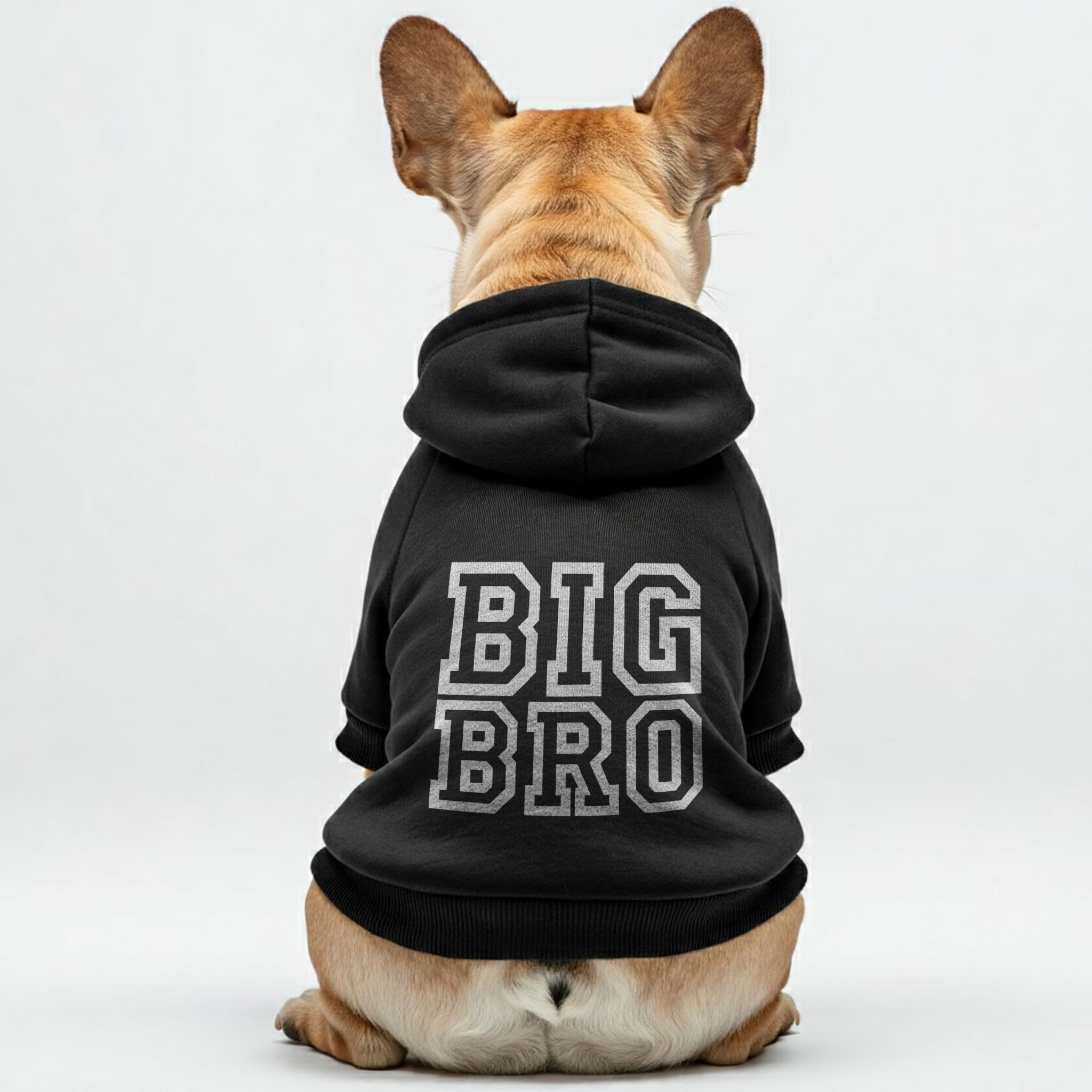 Personalized Cozy Pet Sweatshirt for Outdoor Adventures-fadou