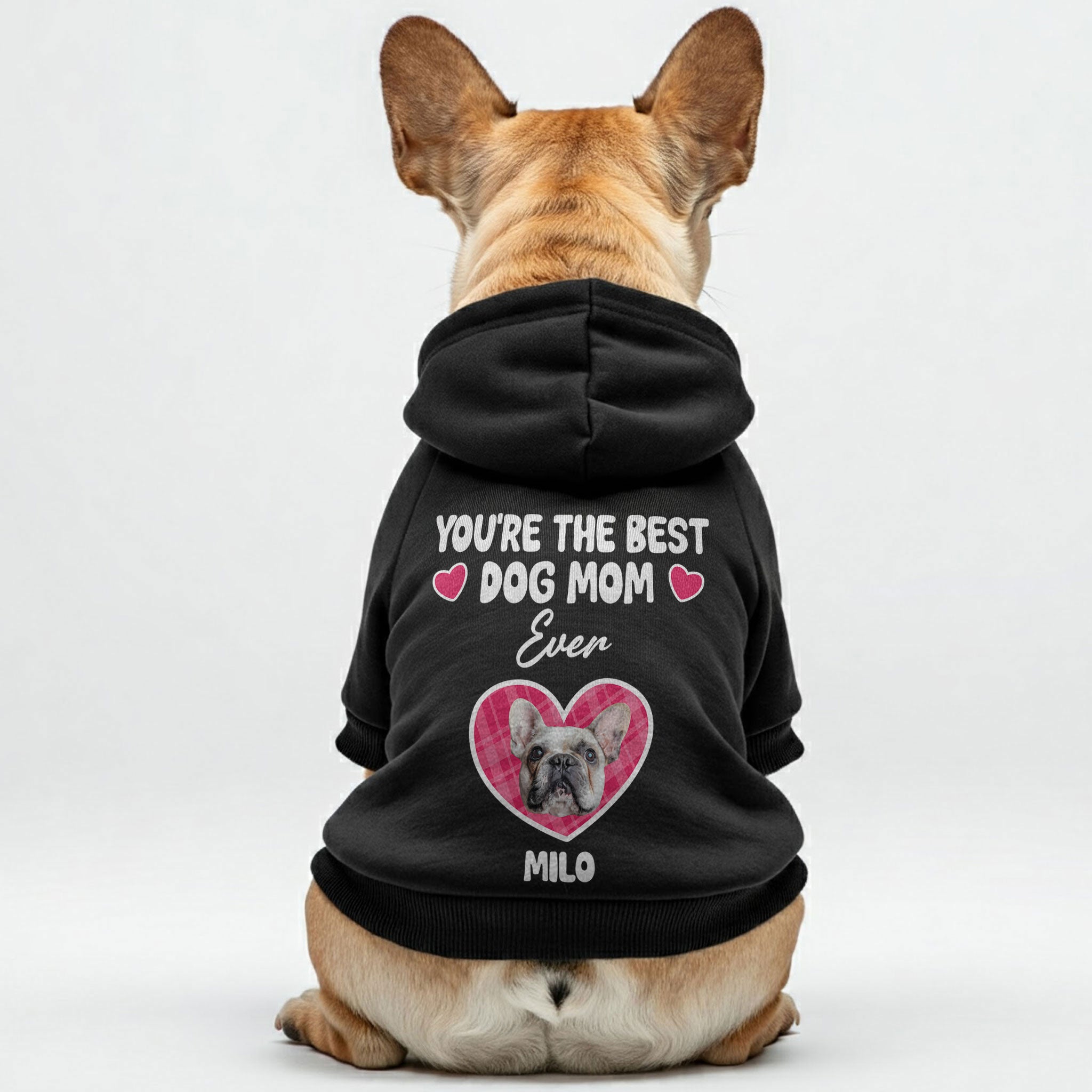 French Bulldog Personalized Cozy Hoodie for Brachycephalic Dogs-fadou