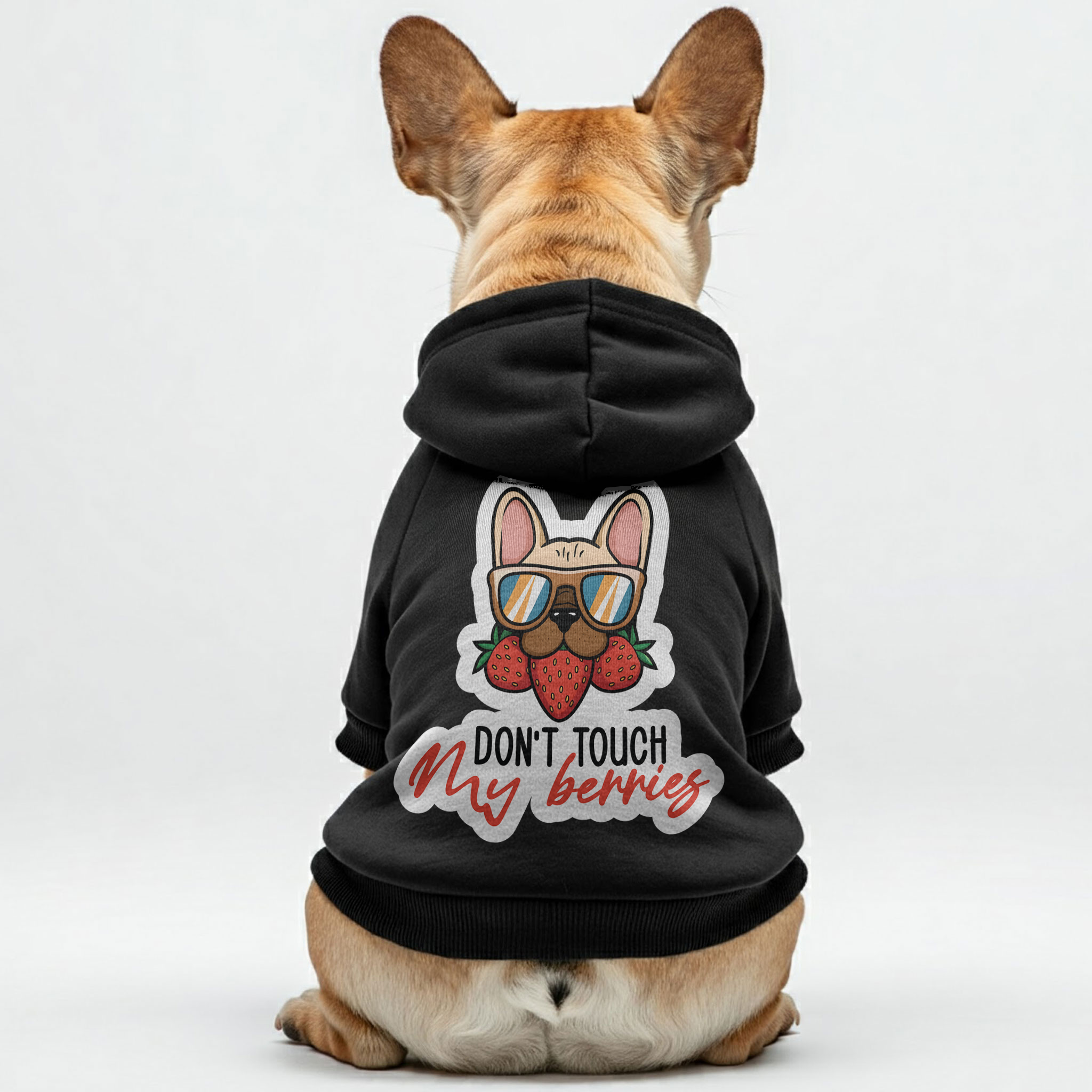 Frenchie Personalized Cozy Hoodie for Training Sessions-fadou