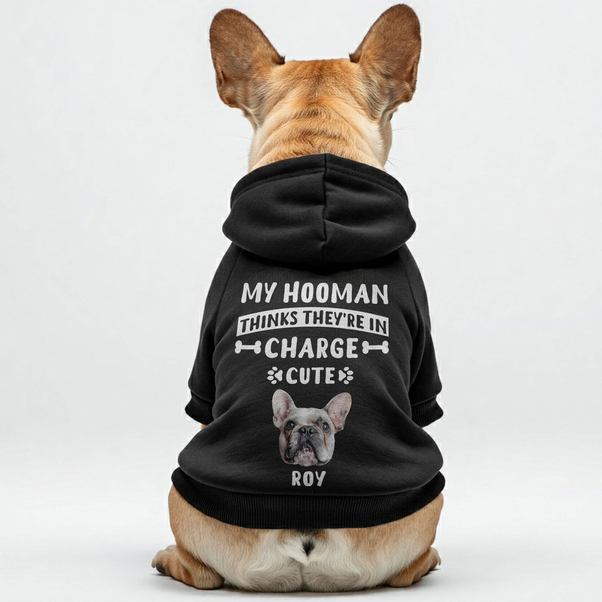 French Bulldog Stylish Pet Sweatshirt for Brachycephalic Dogs-fadou