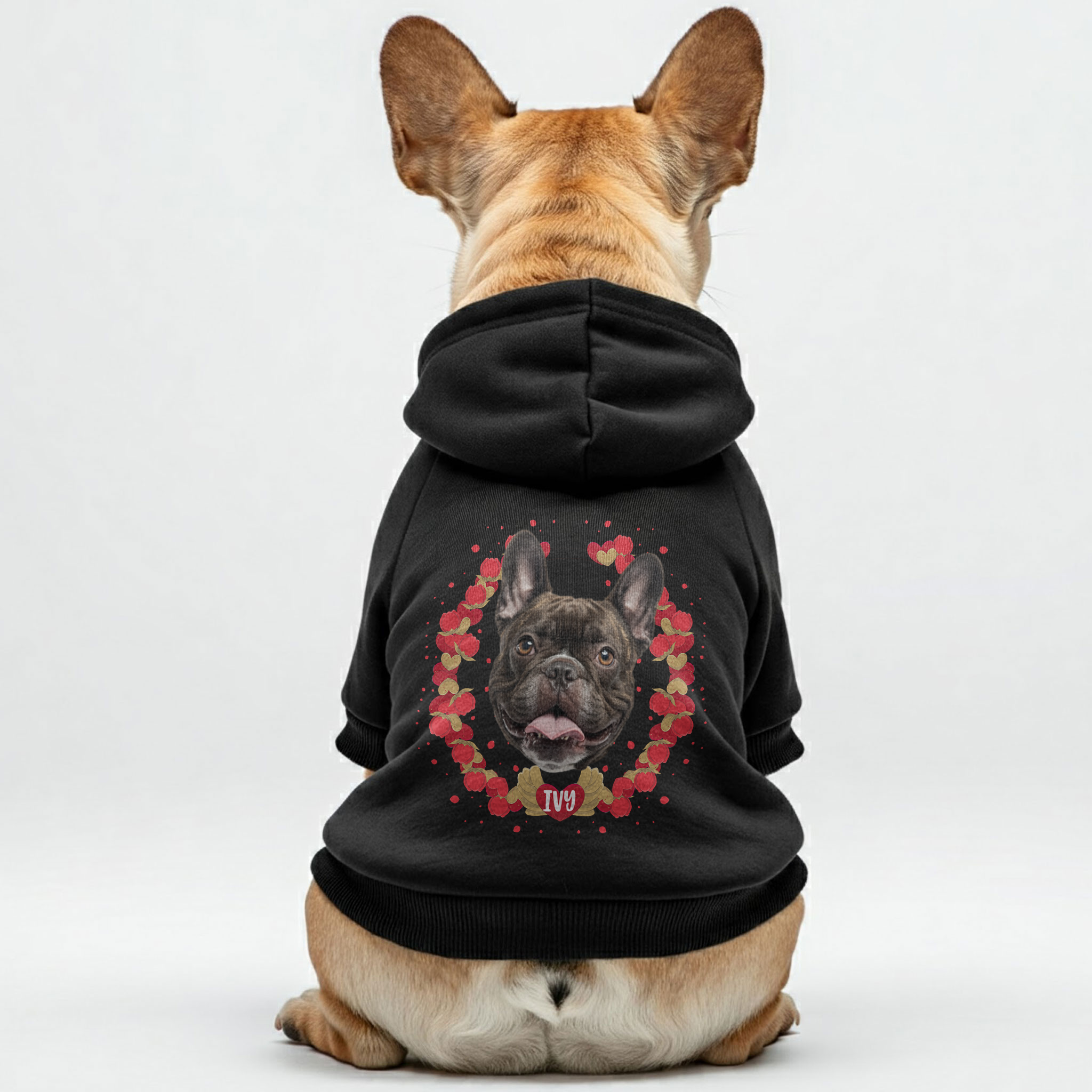 French Bulldog Cozy Cotton Sweatshirt for Frenchie Fans-fadou