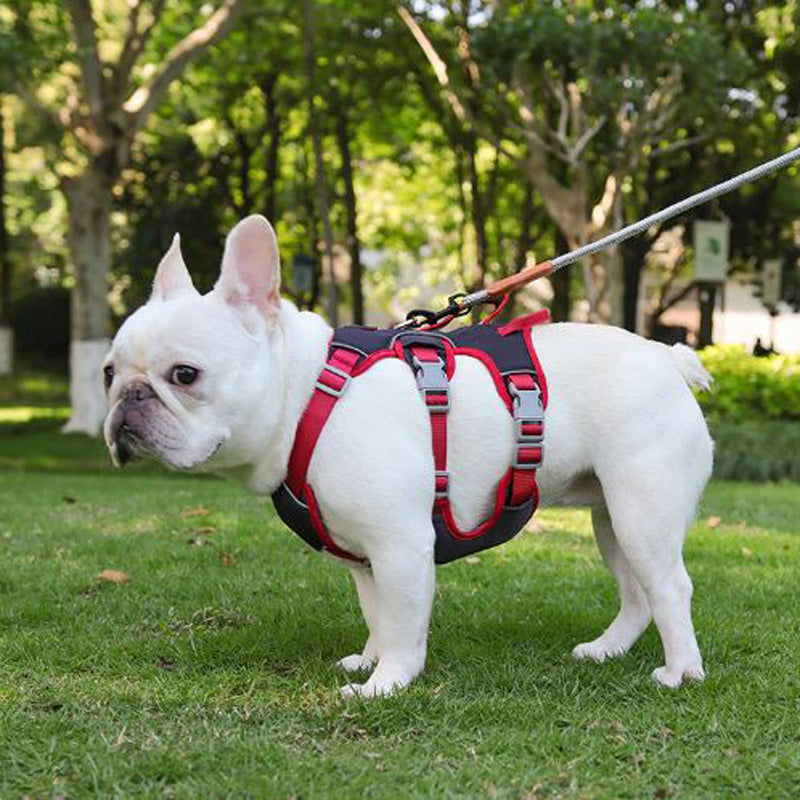 Reflective No-Pull Walking Harness for Brachycephalic Dogs-fadou