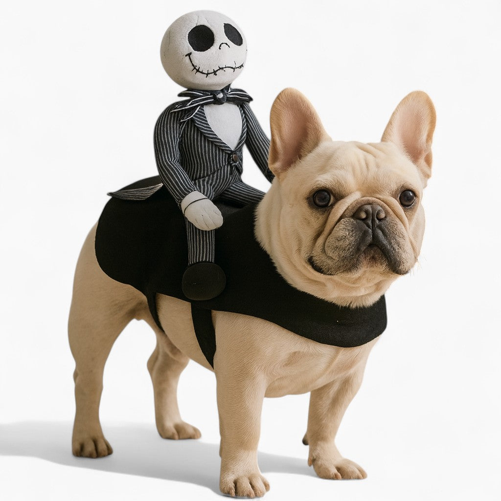 BoneRider Funny Halloween Cosplay for Brachycephalic Dogs-fadou