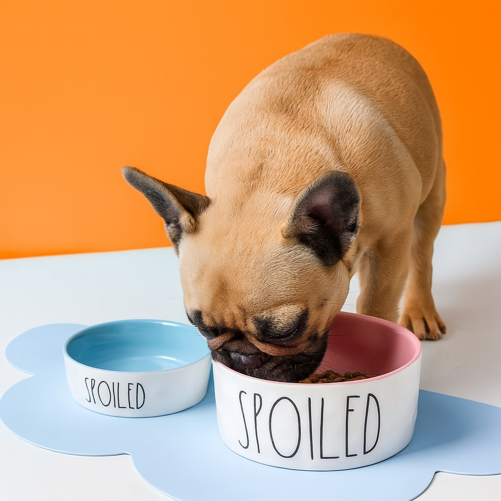 French Bulldog Ceramic Feeding Bowl for Short-Nosed Dogs-fadou