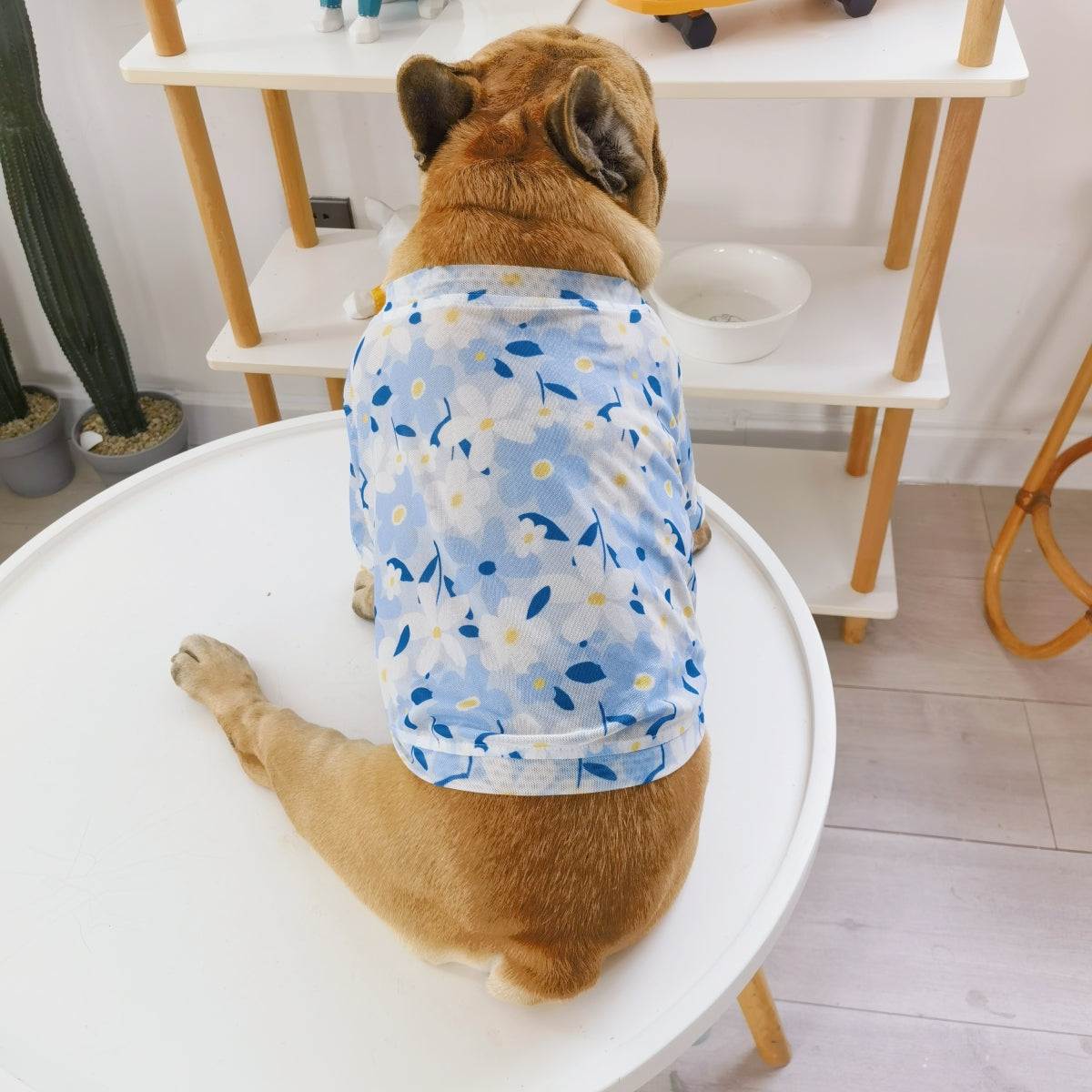 French Bulldog Breathable Pet Top for Training Sessions-fadou