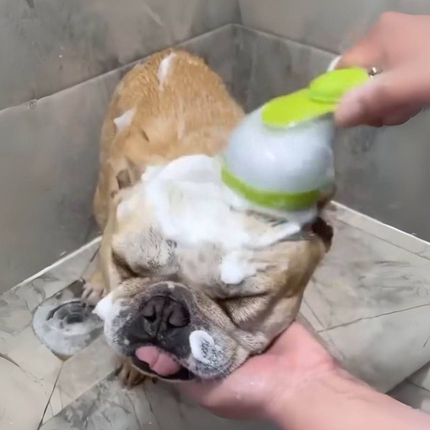 French Bulldog Silicone Product for Frenchie Enthusiasts-fadou