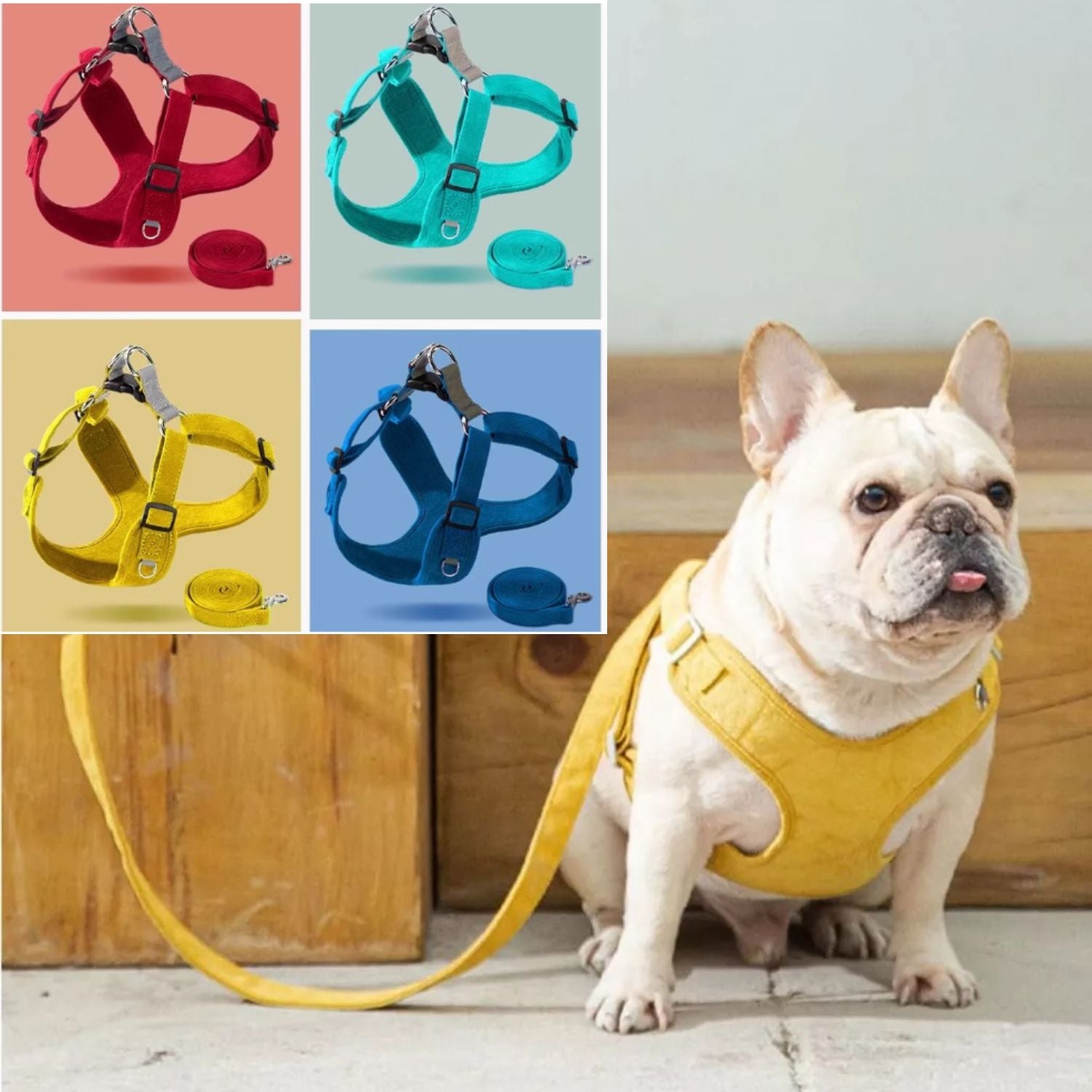 French Bulldog Breathable Walking Harness for Daily Walks-fadou