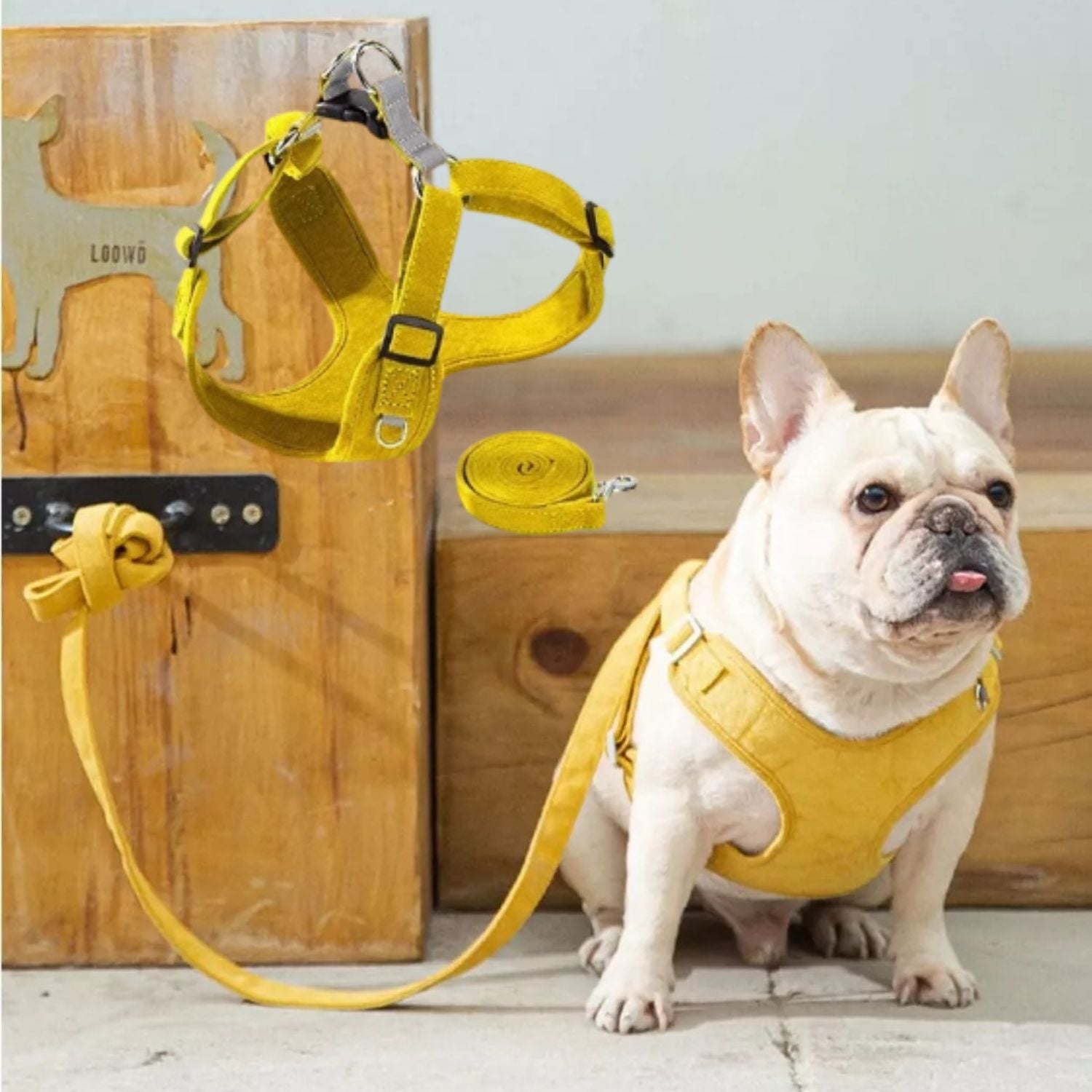 French Bulldog Breathable Walking Harness for Daily Walks-fadou