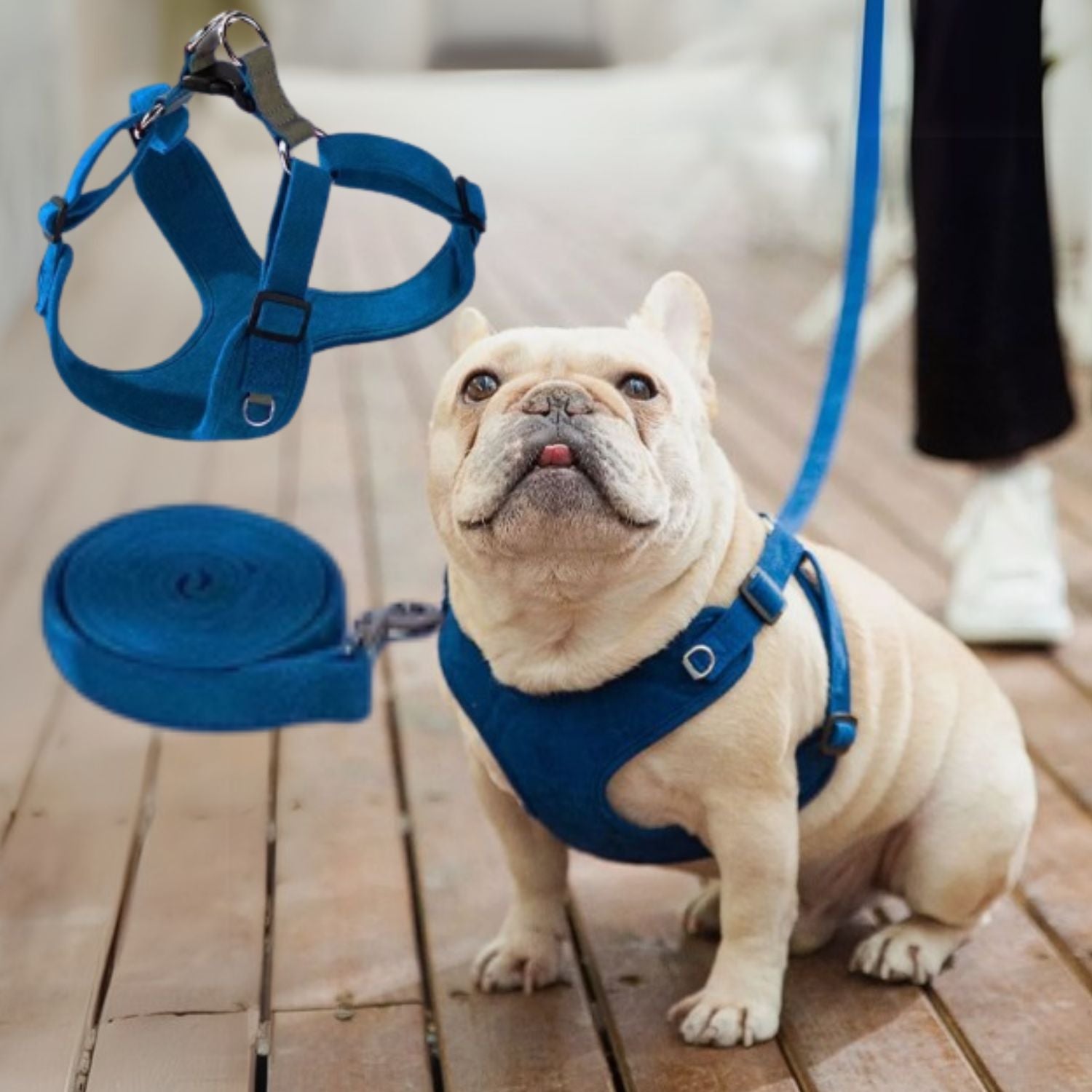 French Bulldog Breathable Walking Harness for Daily Walks-fadou