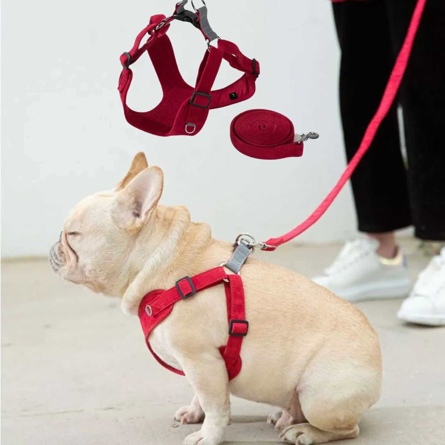 French Bulldog Breathable Walking Harness for Daily Walks-fadou