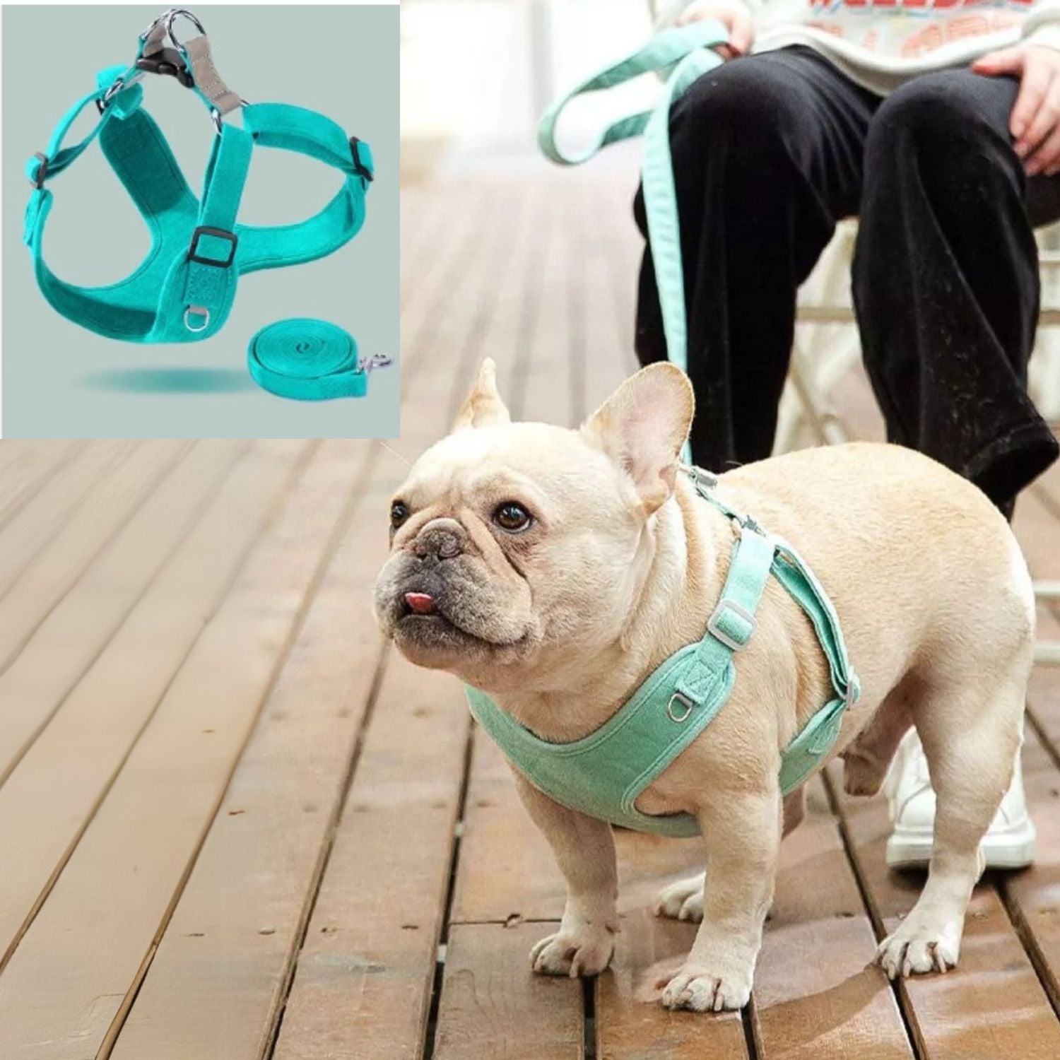 French Bulldog Breathable Walking Harness for Daily Walks-fadou